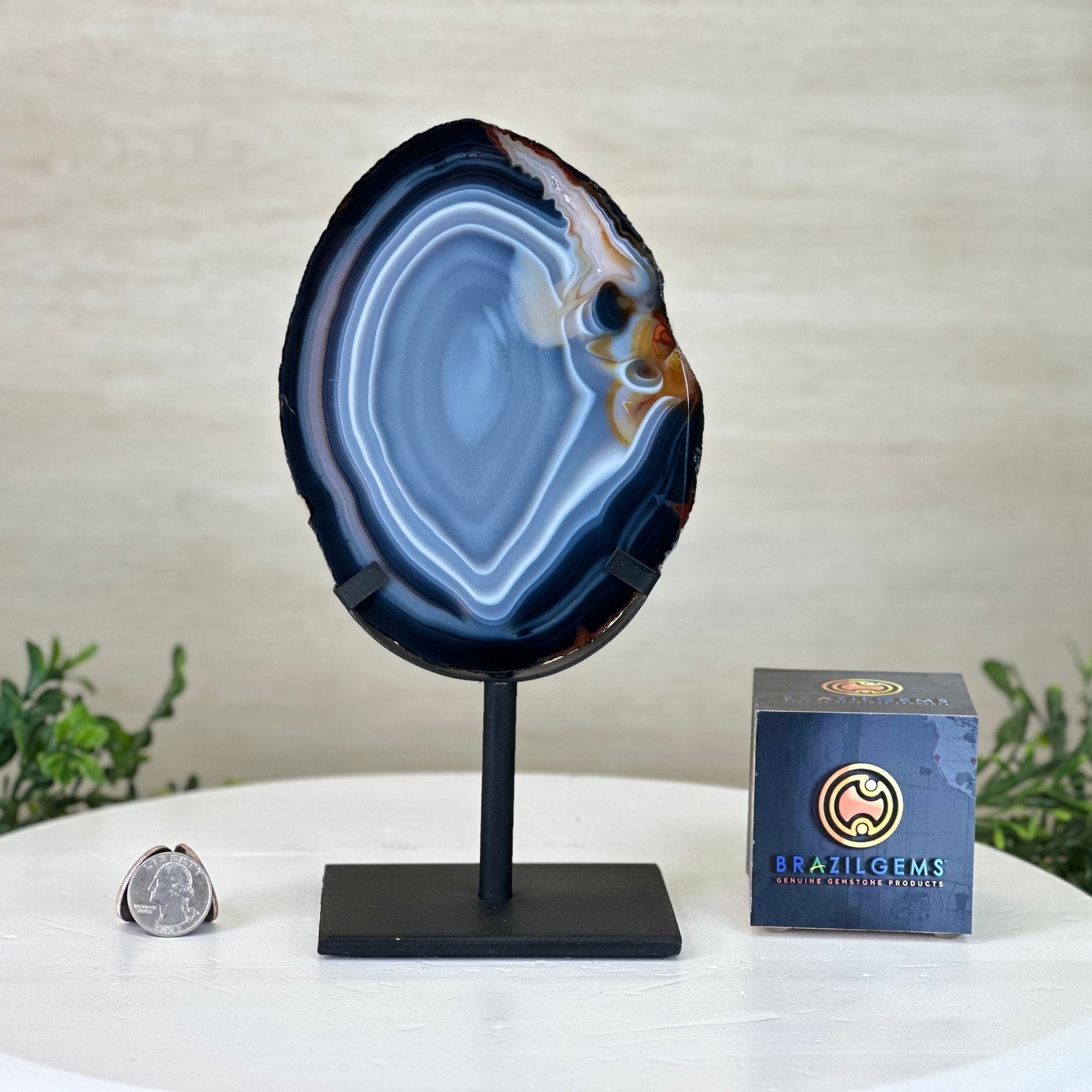 Natural Brazilian Agate Slice on a Metal Stand, 9.25" Tall #5067NA - 022 - Brazil GemsBrazil GemsNatural Brazilian Agate Slice on a Metal Stand, 9.25" Tall #5067NA - 022Slices on Fixed Bases5067NA - 022