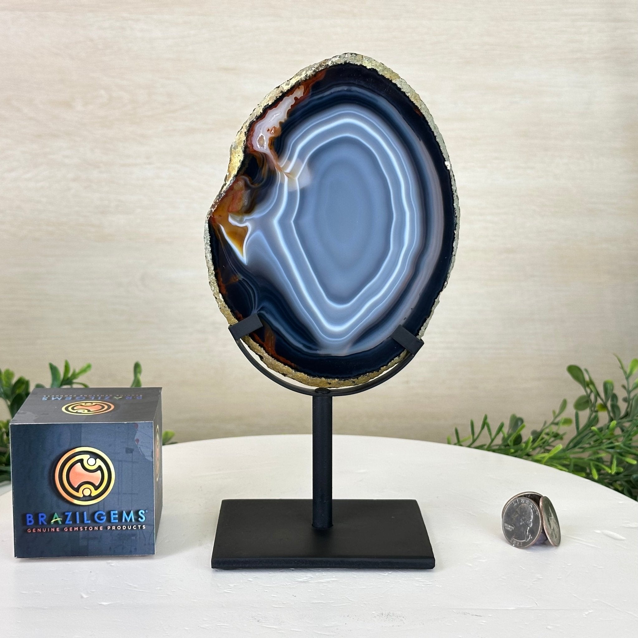 Natural Brazilian Agate Slice on a Metal Stand, 9.25" Tall #5067NA - 022 - Brazil GemsBrazil GemsNatural Brazilian Agate Slice on a Metal Stand, 9.25" Tall #5067NA - 022Slices on Fixed Bases5067NA - 022