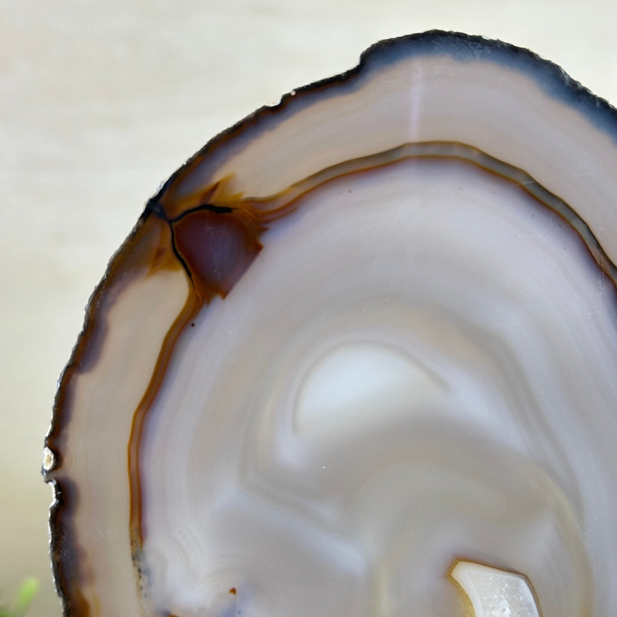 Natural Brazilian Agate Slice on a Metal Stand, 9.5" Tall #5067NA - 017 - Brazil GemsBrazil GemsNatural Brazilian Agate Slice on a Metal Stand, 9.5" Tall #5067NA - 017Slices on Fixed Bases5067NA - 017