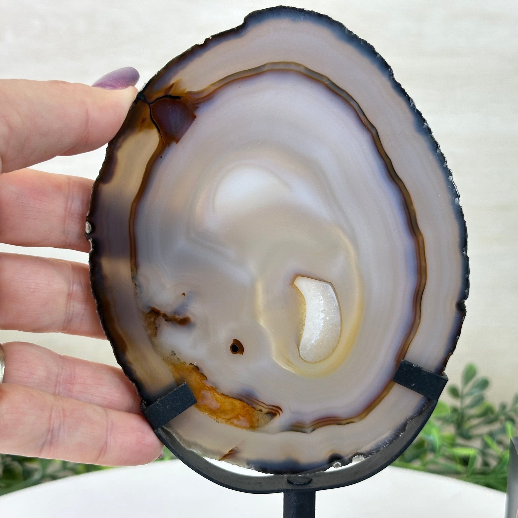 Natural Brazilian Agate Slice on a Metal Stand, 9.5" Tall #5067NA - 017 - Brazil GemsBrazil GemsNatural Brazilian Agate Slice on a Metal Stand, 9.5" Tall #5067NA - 017Slices on Fixed Bases5067NA - 017