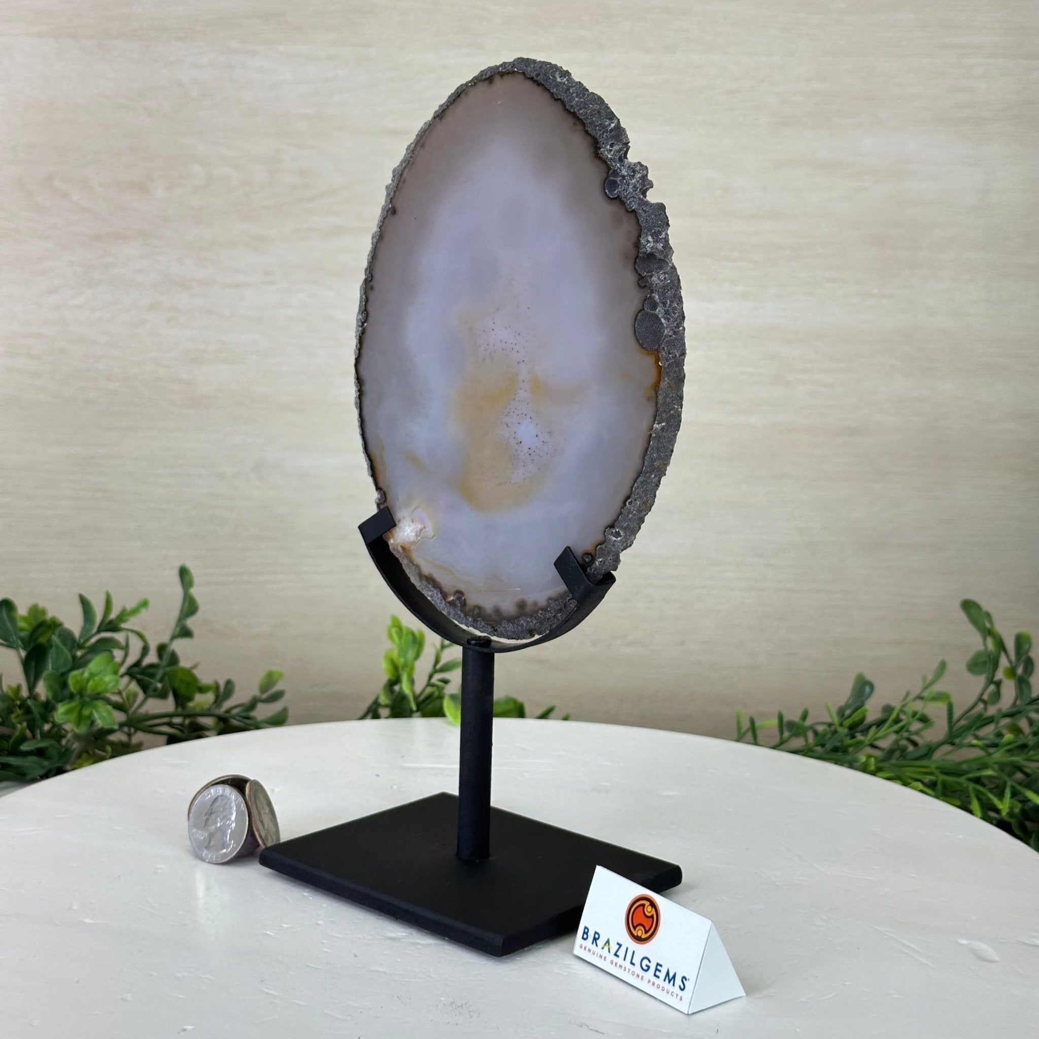 Natural Brazilian Agate Slice on a Metal Stand, 9.5" Tall #5067NA - 030 - Brazil GemsBrazil GemsNatural Brazilian Agate Slice on a Metal Stand, 9.5" Tall #5067NA - 030Slices on Fixed Bases5067NA - 030