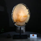 Natural Brazilian Agate Slice on a Metal Stand, 9.5" Tall #5067NA - 030 - Brazil GemsBrazil GemsNatural Brazilian Agate Slice on a Metal Stand, 9.5" Tall #5067NA - 030Slices on Fixed Bases5067NA - 030