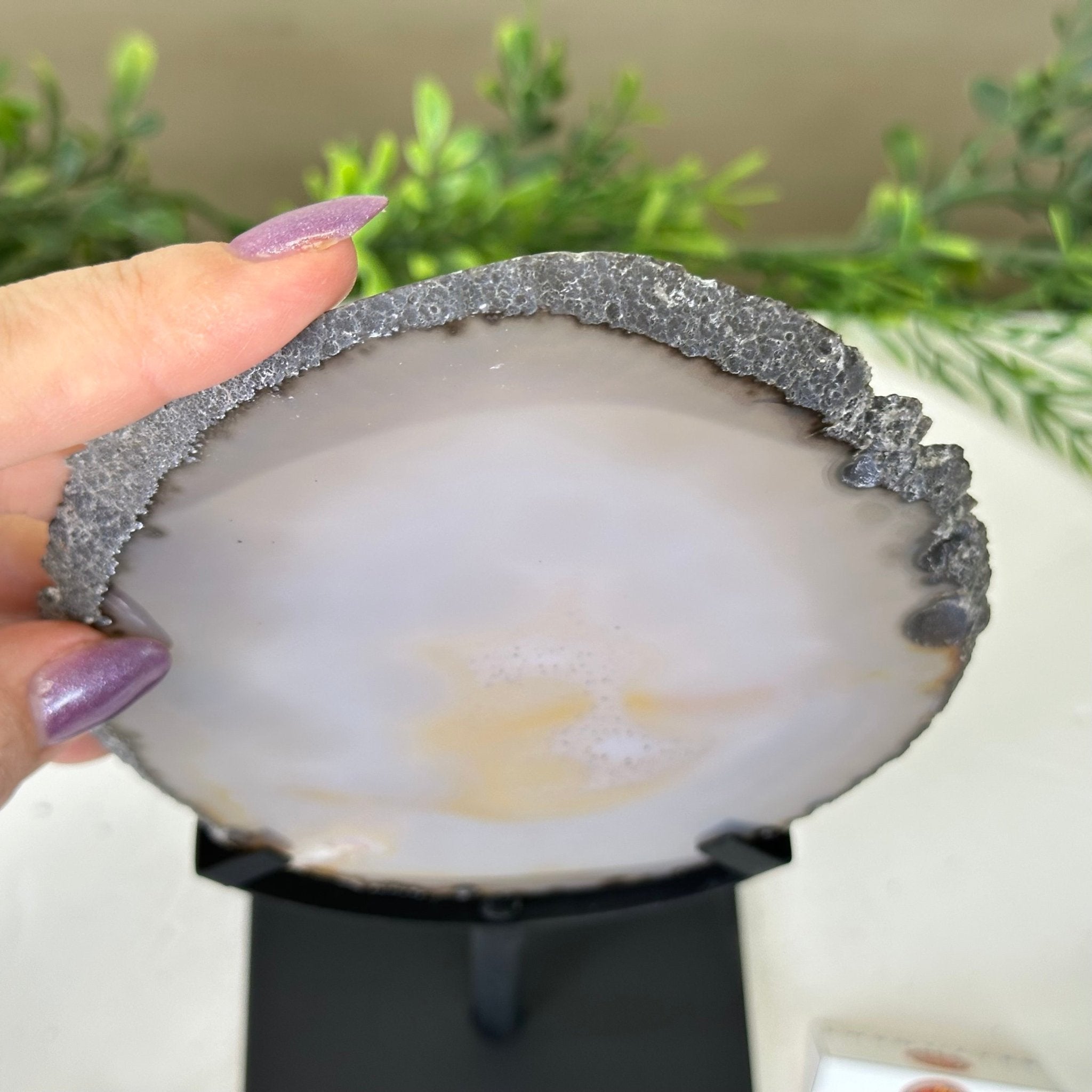 Natural Brazilian Agate Slice on a Metal Stand, 9.5" Tall #5067NA - 030 - Brazil GemsBrazil GemsNatural Brazilian Agate Slice on a Metal Stand, 9.5" Tall #5067NA - 030Slices on Fixed Bases5067NA - 030