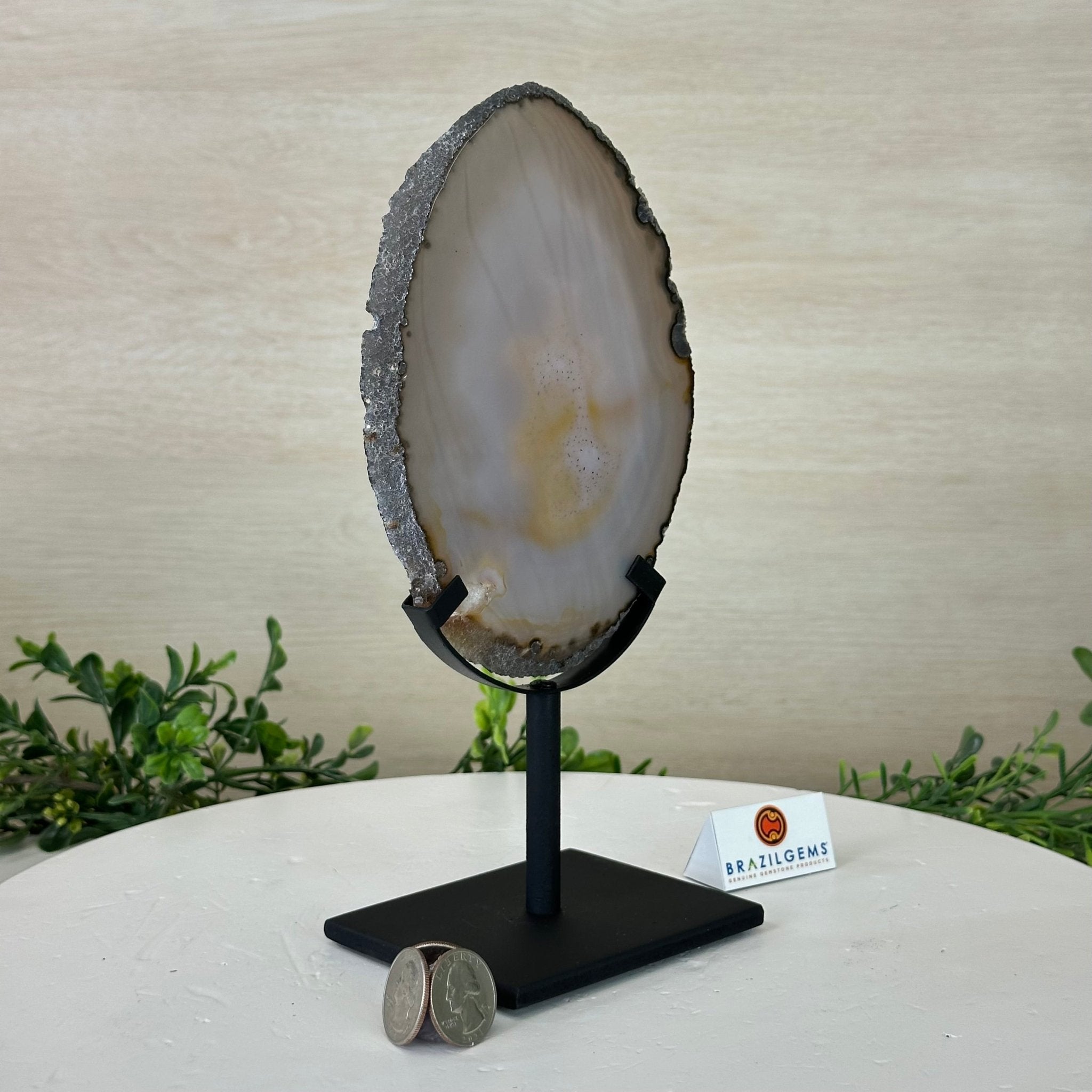 Natural Brazilian Agate Slice on a Metal Stand, 9.5" Tall #5067NA - 030 - Brazil GemsBrazil GemsNatural Brazilian Agate Slice on a Metal Stand, 9.5" Tall #5067NA - 030Slices on Fixed Bases5067NA - 030