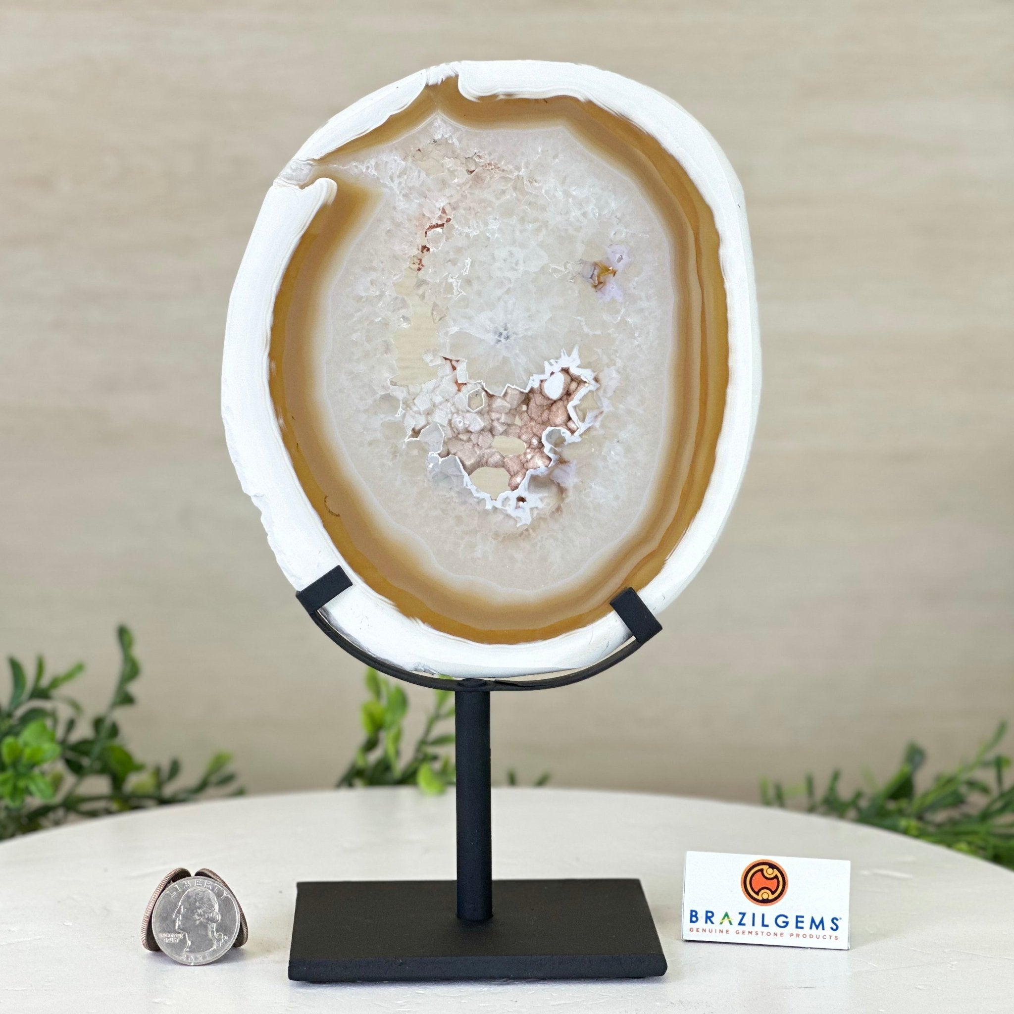 Natural Brazilian Agate Slice on Metal Stand, 10" Tall #5067NA - 037 - Brazil GemsBrazil GemsNatural Brazilian Agate Slice on Metal Stand, 10" Tall #5067NA - 037Slices on Fixed Bases5067NA - 037