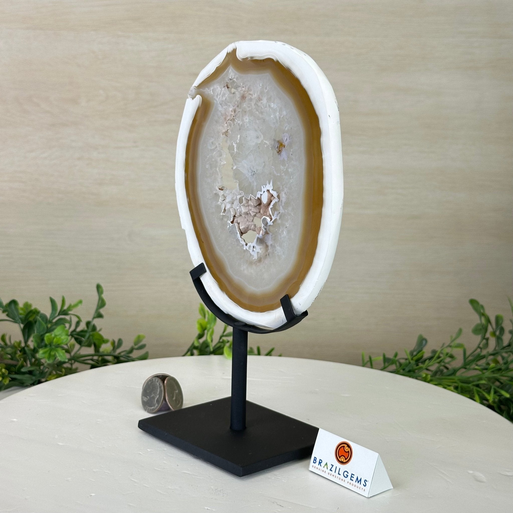 Natural Brazilian Agate Slice on Metal Stand, 10" Tall #5067NA - 037 - Brazil GemsBrazil GemsNatural Brazilian Agate Slice on Metal Stand, 10" Tall #5067NA - 037Slices on Fixed Bases5067NA - 037