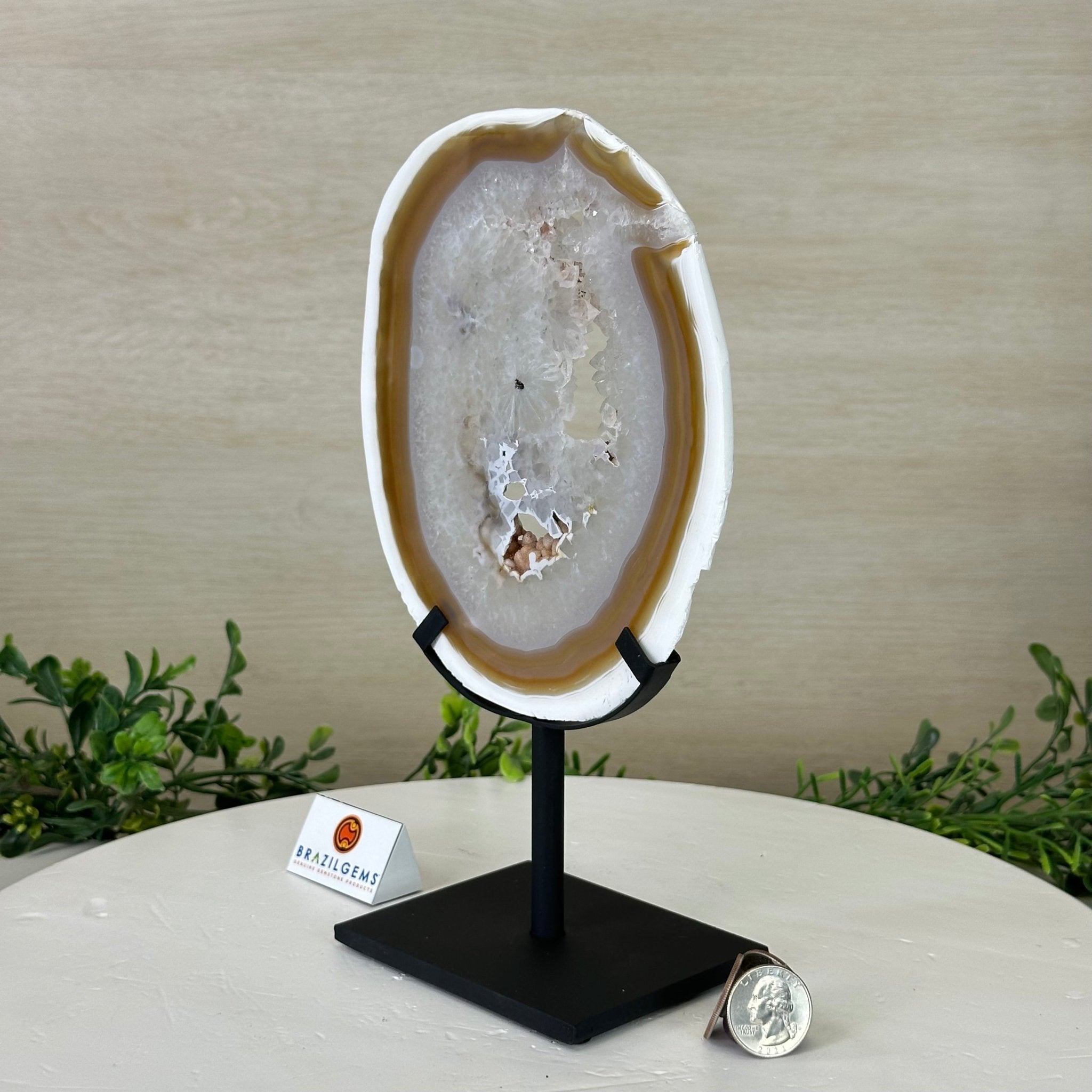 Natural Brazilian Agate Slice on Metal Stand, 10" Tall #5067NA - 037 - Brazil GemsBrazil GemsNatural Brazilian Agate Slice on Metal Stand, 10" Tall #5067NA - 037Slices on Fixed Bases5067NA - 037