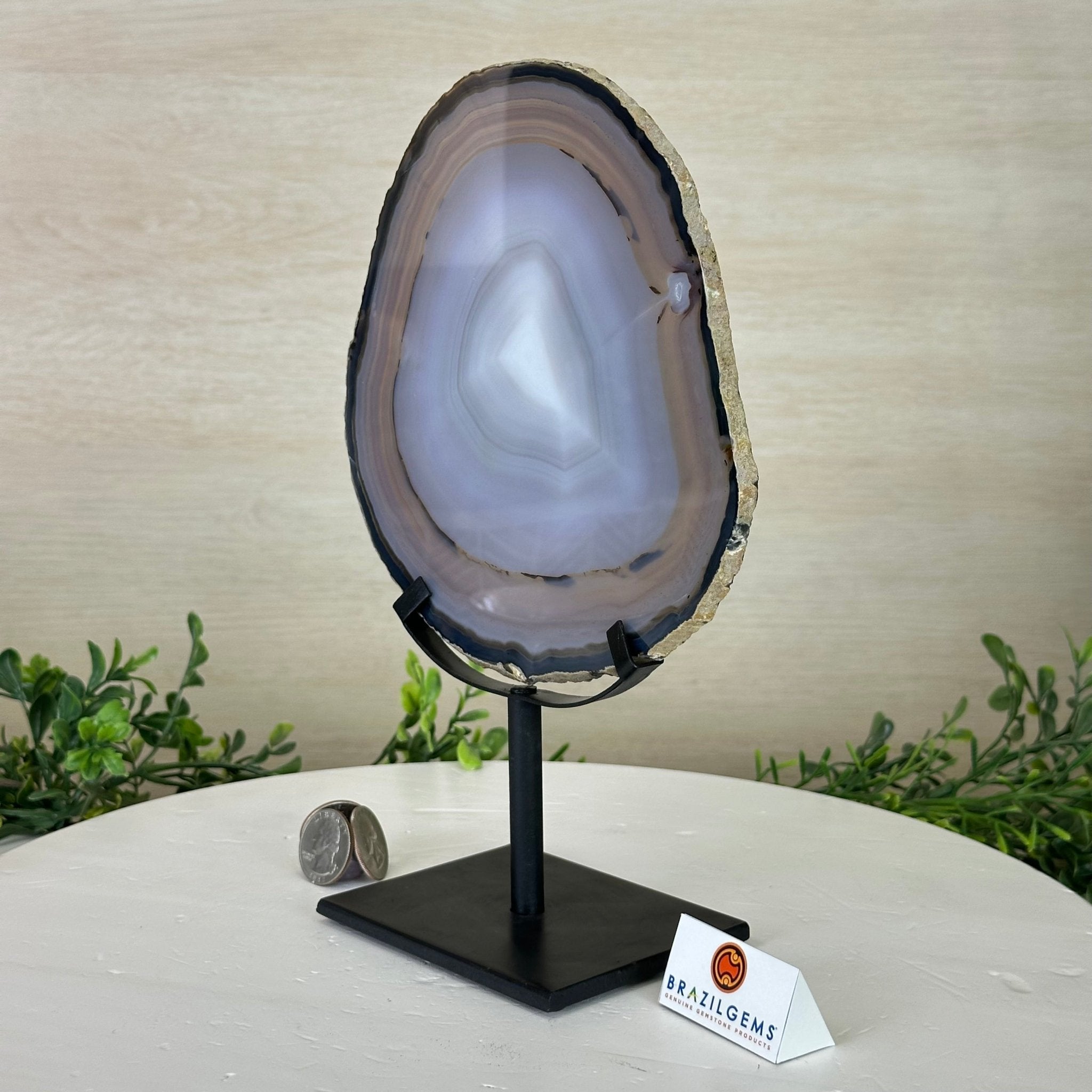 Natural Brazilian Agate Slice on Metal Stand, 10" Tall #5067NA - 040 - Brazil GemsBrazil GemsNatural Brazilian Agate Slice on Metal Stand, 10" Tall #5067NA - 040Slices on Fixed Bases5067NA - 040