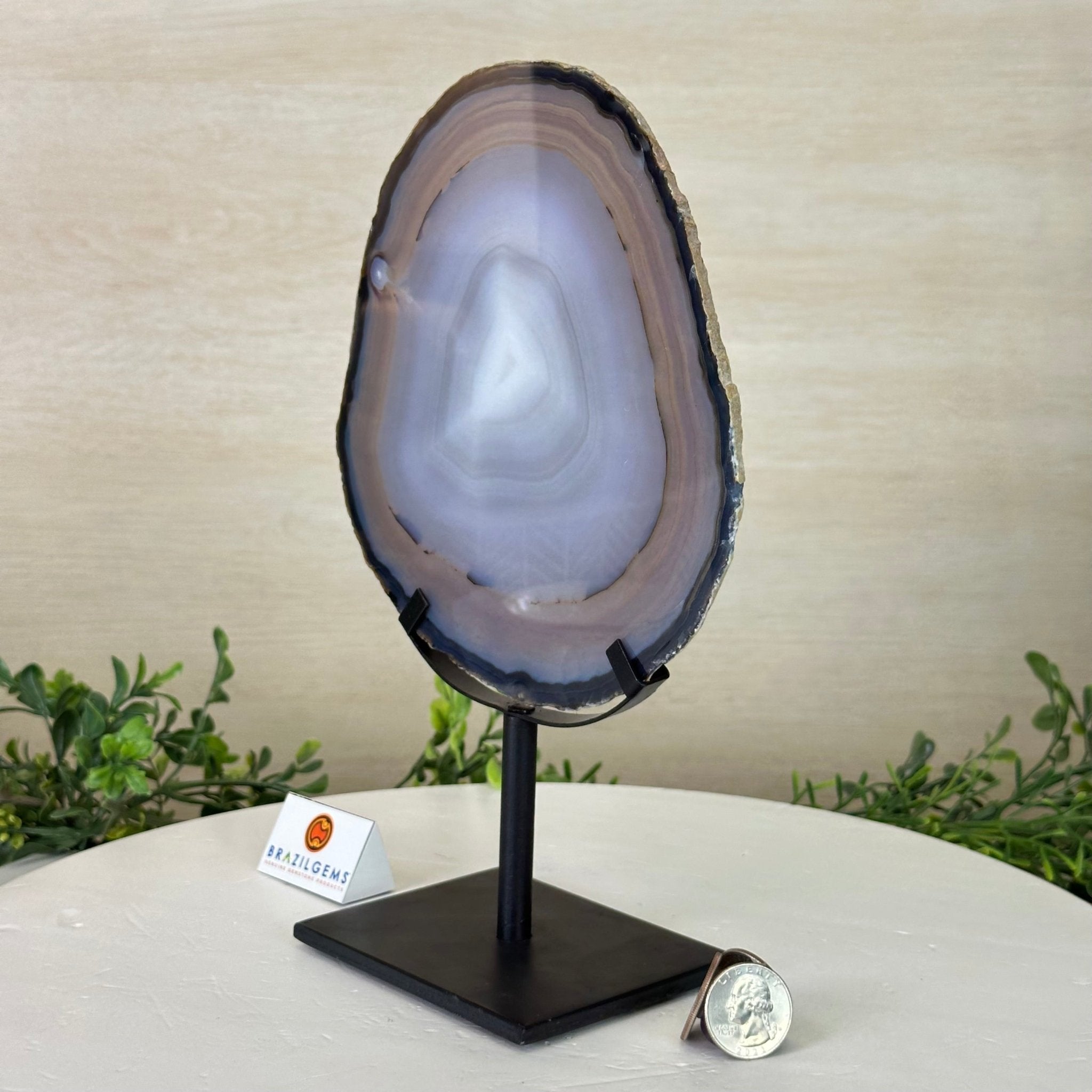 Natural Brazilian Agate Slice on Metal Stand, 10" Tall #5067NA - 040 - Brazil GemsBrazil GemsNatural Brazilian Agate Slice on Metal Stand, 10" Tall #5067NA - 040Slices on Fixed Bases5067NA - 040