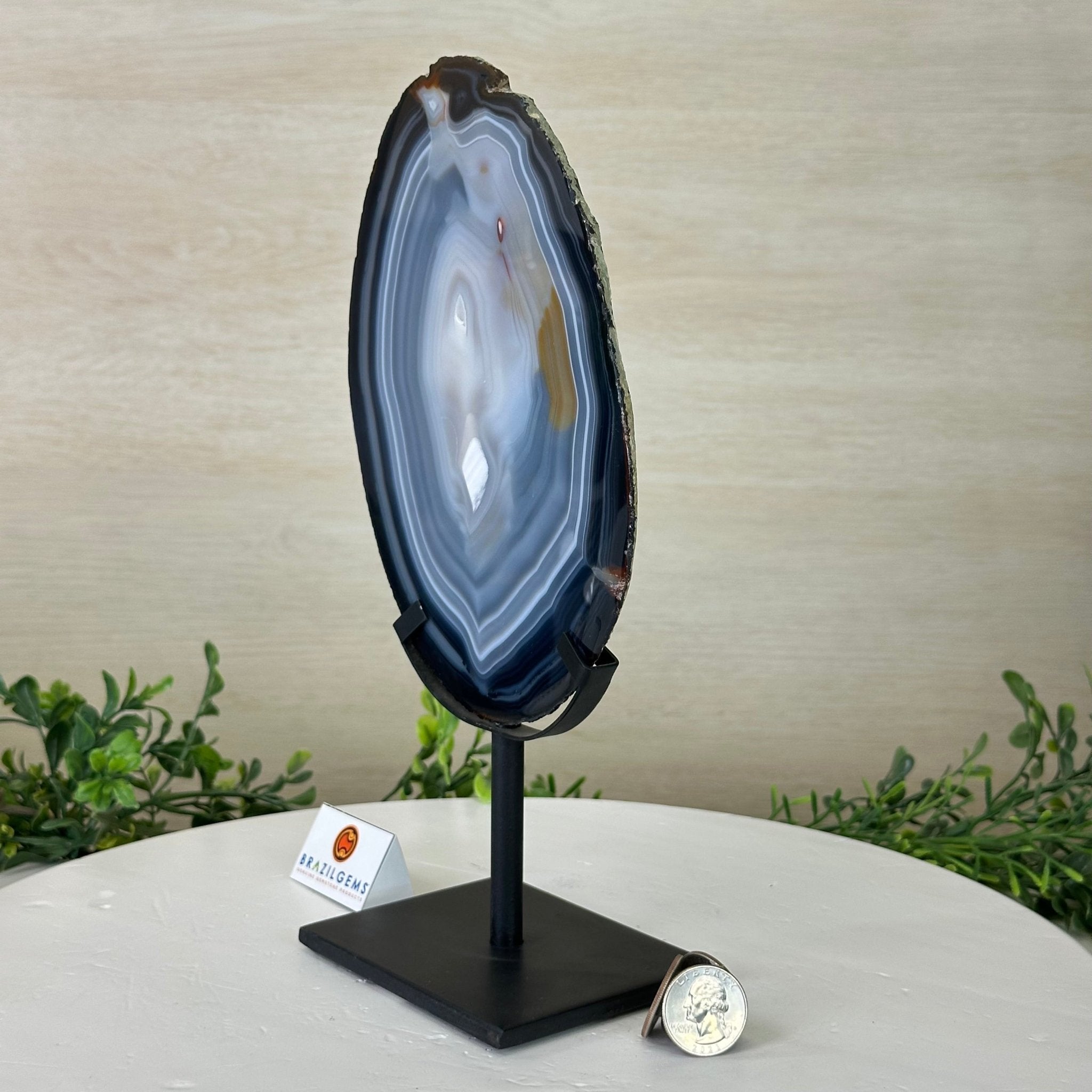 Natural Brazilian Agate Slice on Metal Stand, 10.5" Tall #5067NA - 039 - Brazil GemsBrazil GemsNatural Brazilian Agate Slice on Metal Stand, 10.5" Tall #5067NA - 039Slices on Fixed Bases5067NA - 039