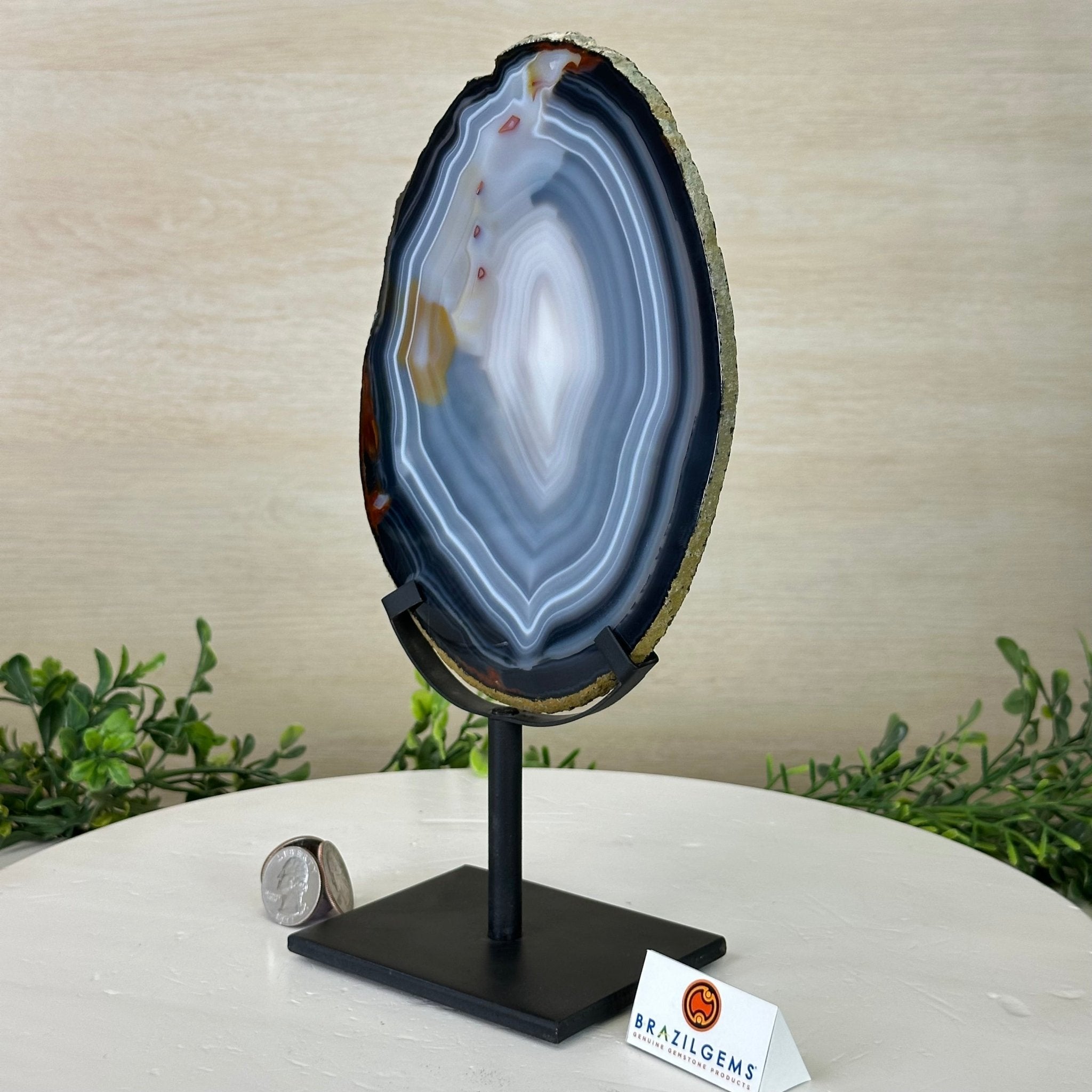 Natural Brazilian Agate Slice on Metal Stand, 10.5" Tall #5067NA - 039 - Brazil GemsBrazil GemsNatural Brazilian Agate Slice on Metal Stand, 10.5" Tall #5067NA - 039Slices on Fixed Bases5067NA - 039