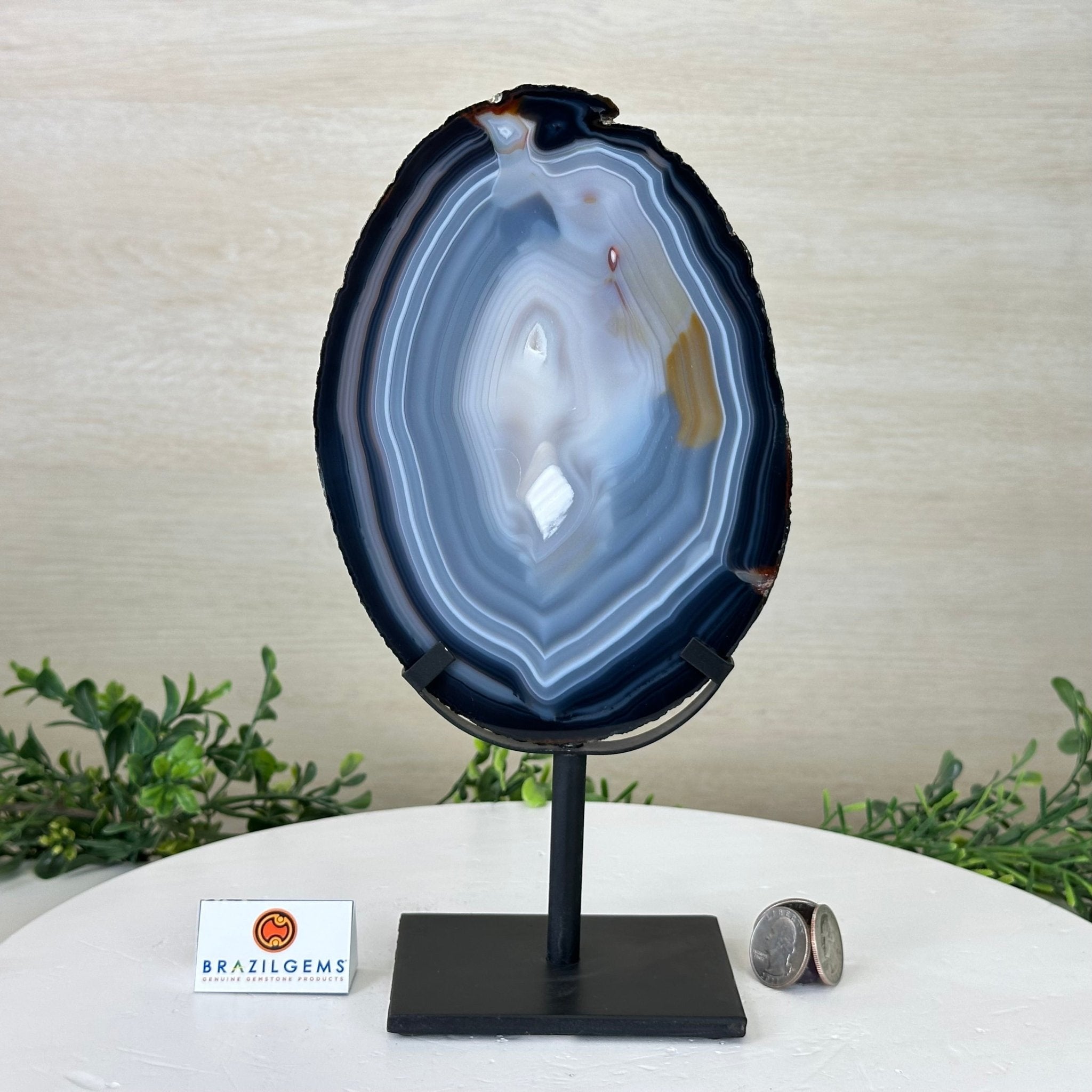 Natural Brazilian Agate Slice on Metal Stand, 10.5" Tall #5067NA - 039 - Brazil GemsBrazil GemsNatural Brazilian Agate Slice on Metal Stand, 10.5" Tall #5067NA - 039Slices on Fixed Bases5067NA - 039