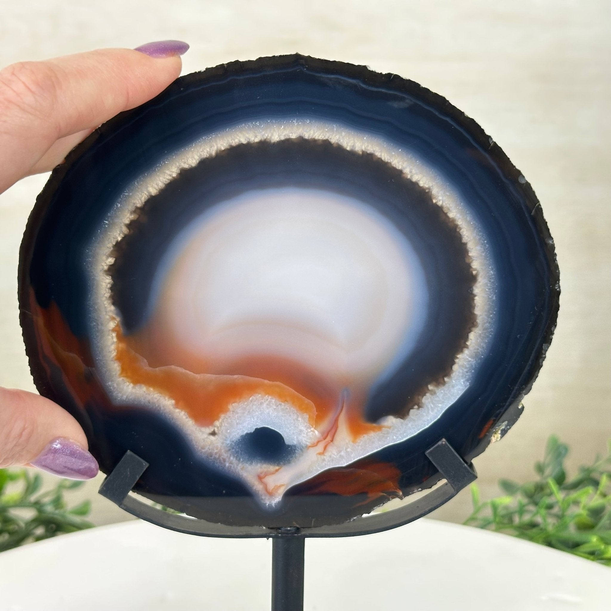 Natural Brazilian Agate Slice on Metal Stand, 8.5" Tall #5067NA - 031 - Brazil GemsBrazil GemsNatural Brazilian Agate Slice on Metal Stand, 8.5" Tall #5067NA - 031Slices on Fixed Bases5067NA - 031