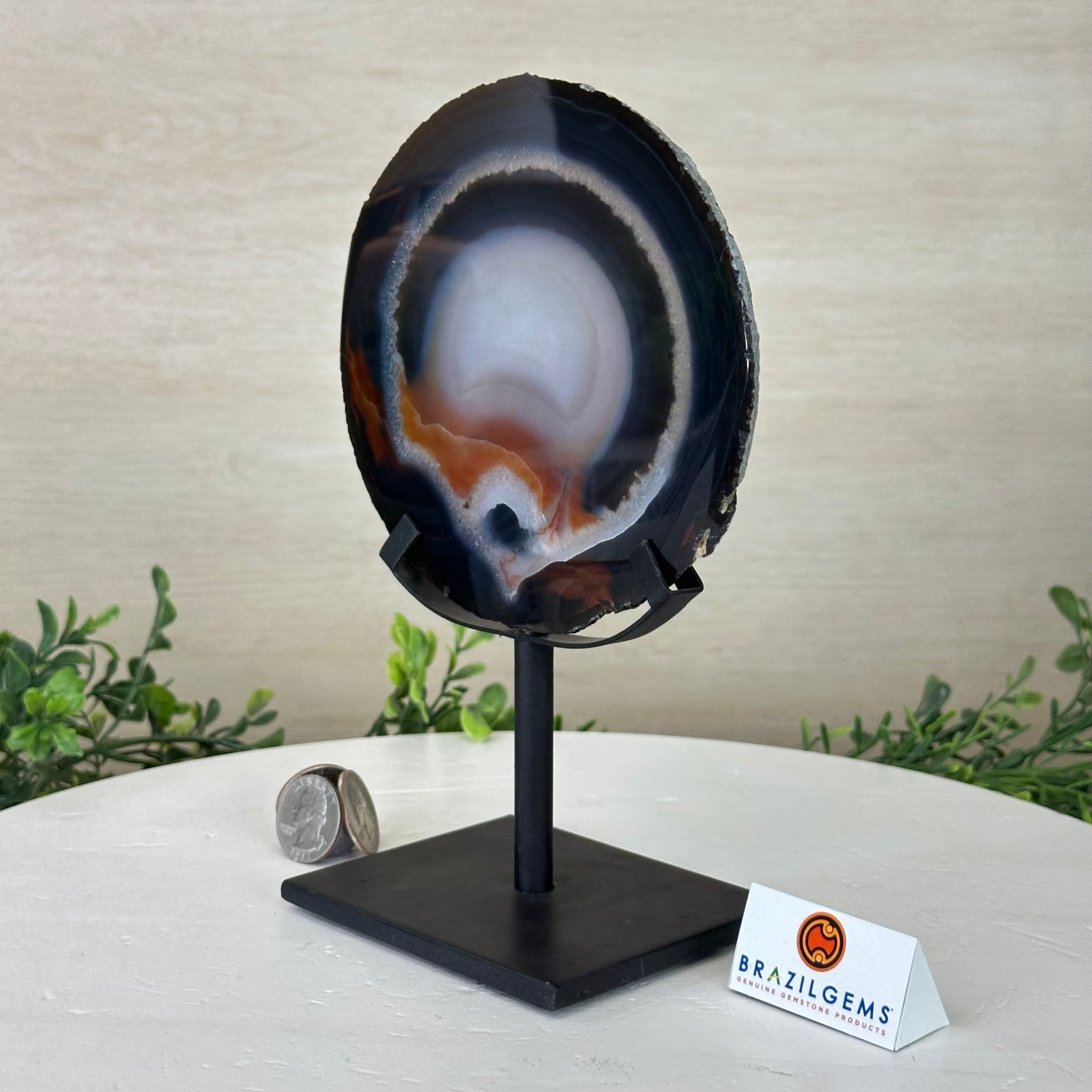 Natural Brazilian Agate Slice on Metal Stand, 8.5" Tall #5067NA - 031 - Brazil GemsBrazil GemsNatural Brazilian Agate Slice on Metal Stand, 8.5" Tall #5067NA - 031Slices on Fixed Bases5067NA - 031