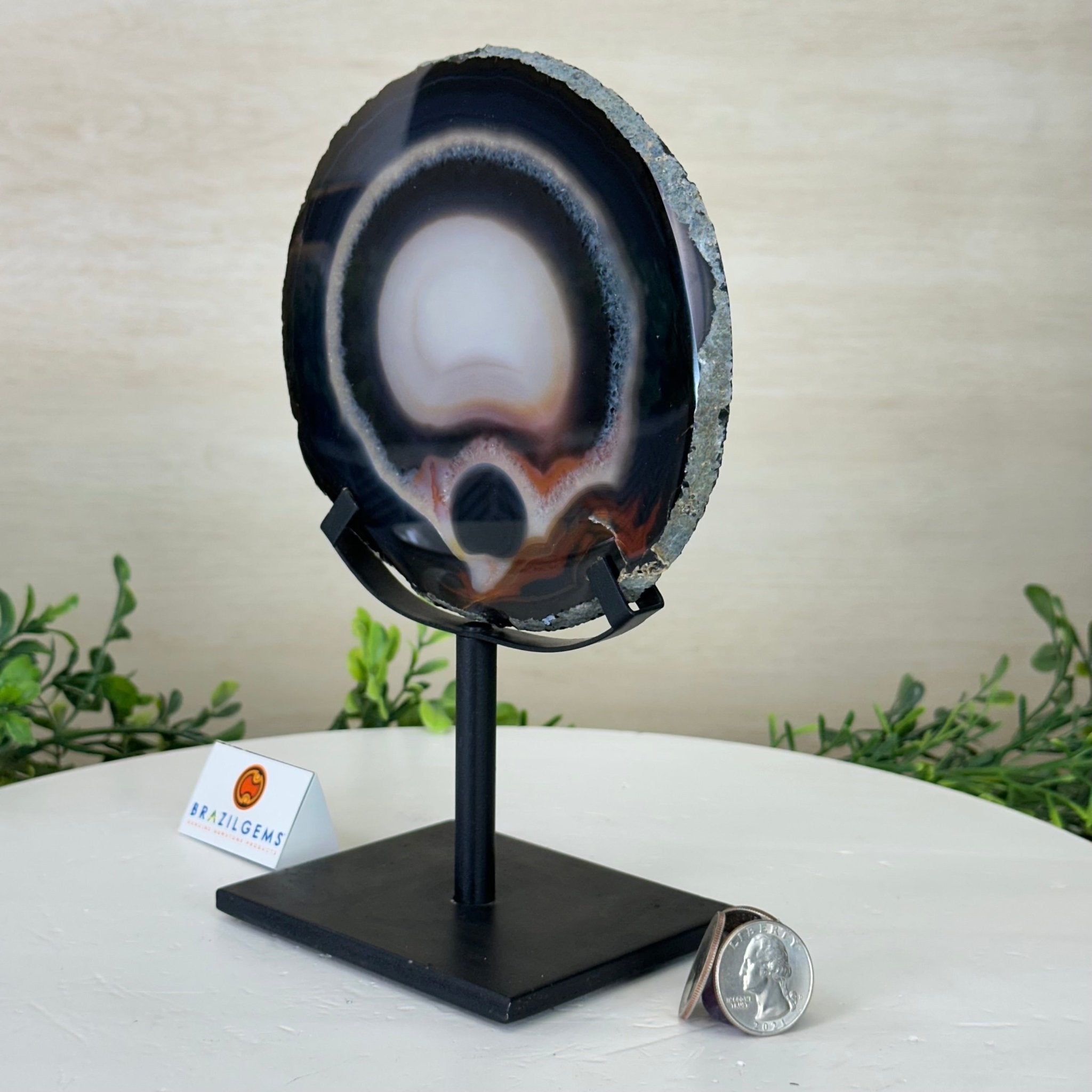 Natural Brazilian Agate Slice on Metal Stand, 8.5" Tall #5067NA - 031 - Brazil GemsBrazil GemsNatural Brazilian Agate Slice on Metal Stand, 8.5" Tall #5067NA - 031Slices on Fixed Bases5067NA - 031