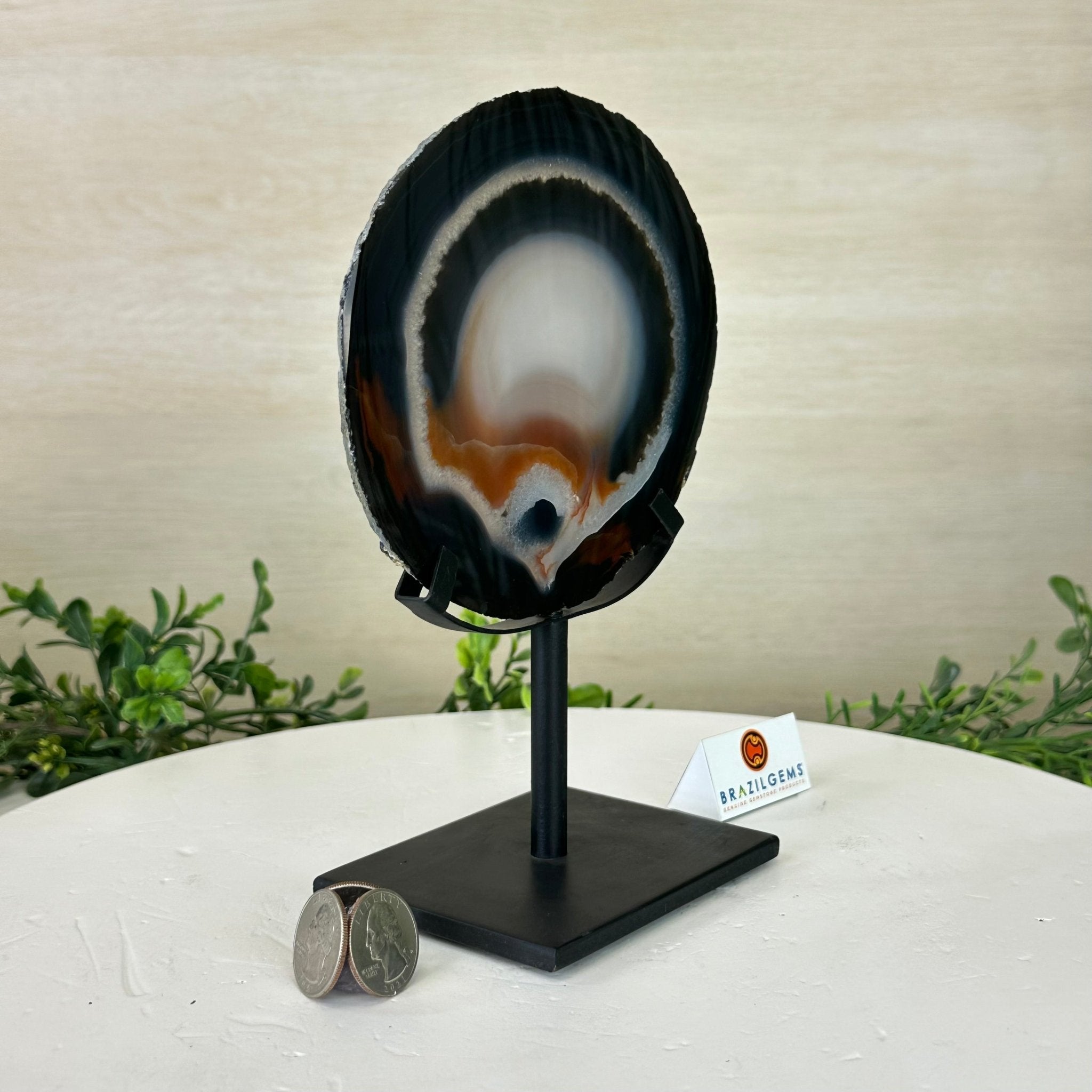 Natural Brazilian Agate Slice on Metal Stand, 8.5" Tall #5067NA - 031 - Brazil GemsBrazil GemsNatural Brazilian Agate Slice on Metal Stand, 8.5" Tall #5067NA - 031Slices on Fixed Bases5067NA - 031