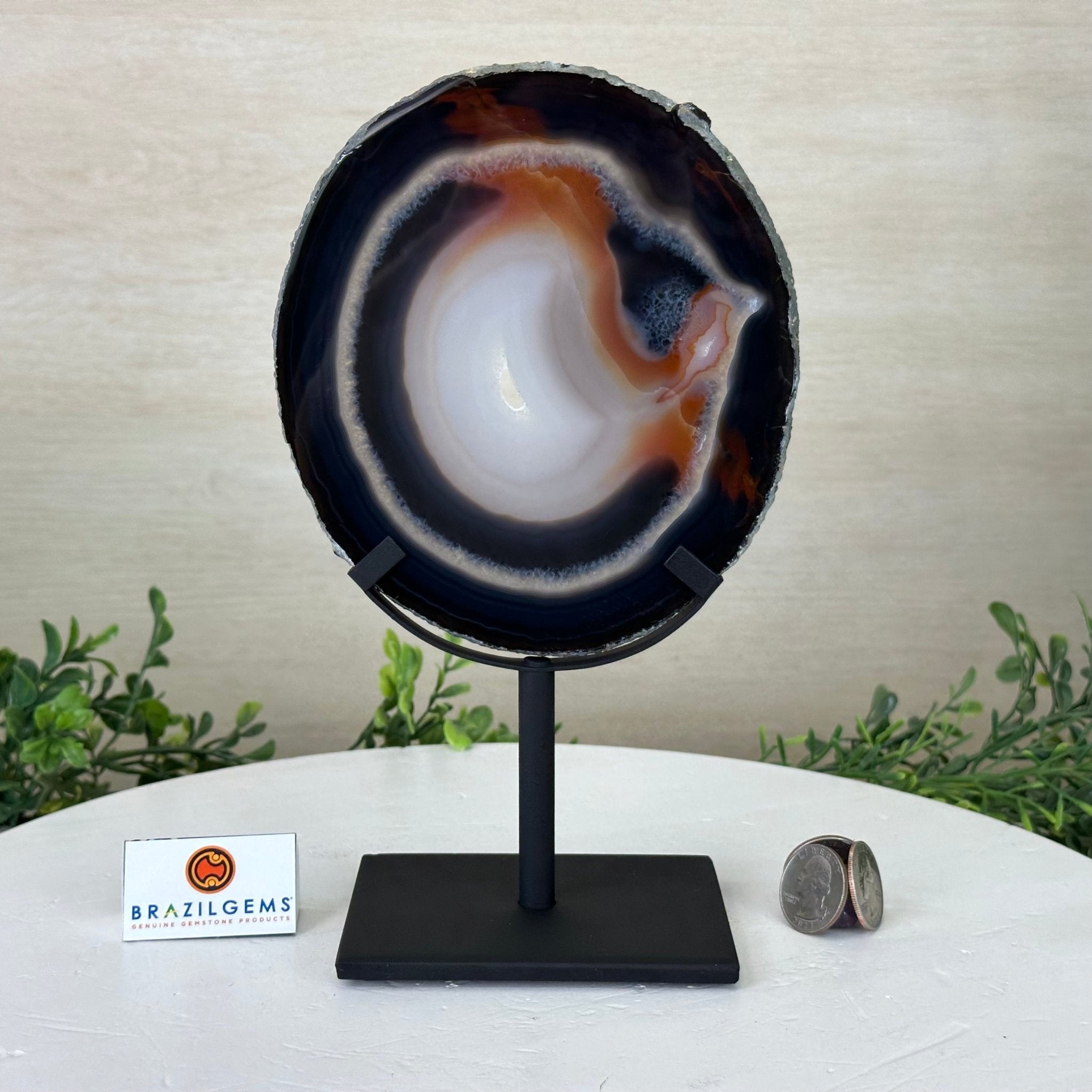 Natural Brazilian Agate Slice on Metal Stand, 9.1" Tall #5067NA - 035 - Brazil GemsBrazil GemsNatural Brazilian Agate Slice on Metal Stand, 9.1" Tall #5067NA - 035Slices on Fixed Bases5067NA - 035