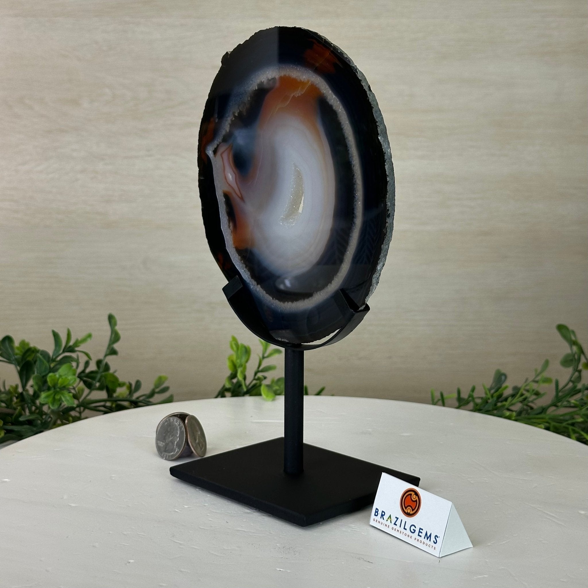 Natural Brazilian Agate Slice on Metal Stand, 9.1" Tall #5067NA - 035 - Brazil GemsBrazil GemsNatural Brazilian Agate Slice on Metal Stand, 9.1" Tall #5067NA - 035Slices on Fixed Bases5067NA - 035