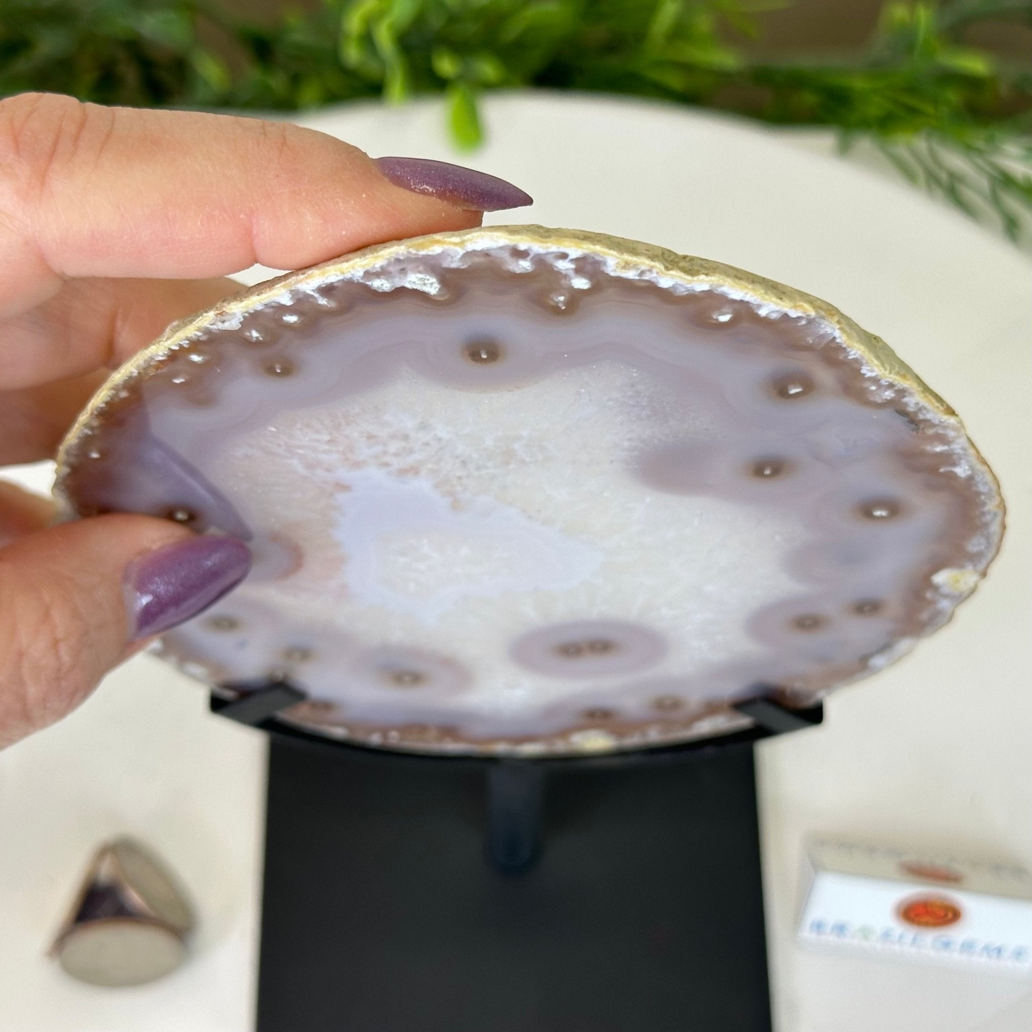 Natural Brazilian Agate Slice on Metal Stand, 9.25" Tall #5067NA - 025 - Brazil GemsBrazil GemsNatural Brazilian Agate Slice on Metal Stand, 9.25" Tall #5067NA - 025Slices on Fixed Bases5067NA - 025