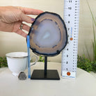 Natural Brazilian Agate Slice on Metal Stand, 9.25" Tall #5067NA - 027 - Brazil GemsBrazil GemsNatural Brazilian Agate Slice on Metal Stand, 9.25" Tall #5067NA - 027Slices on Fixed Bases5067NA - 027