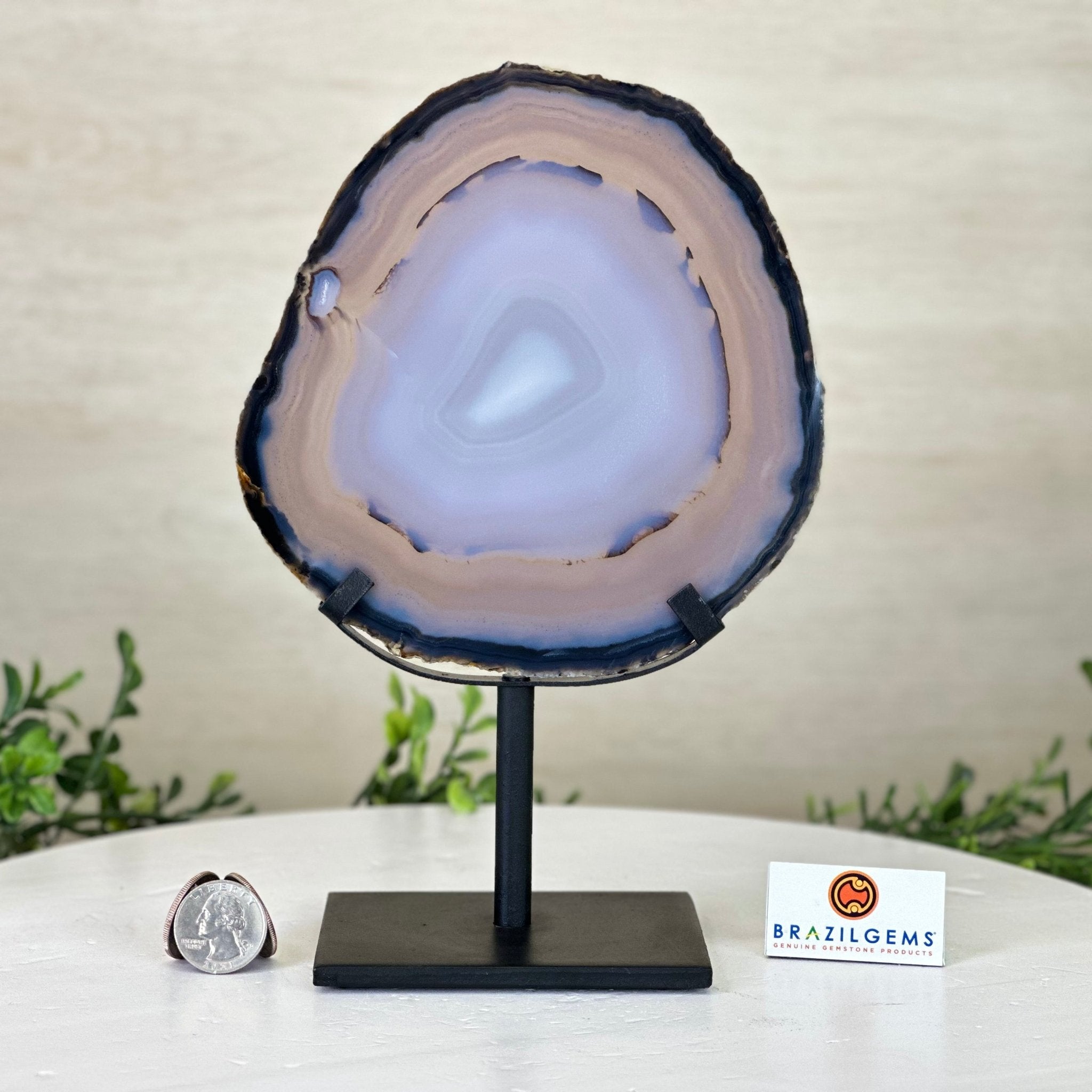 Natural Brazilian Agate Slice on Metal Stand, 9.25" Tall #5067NA - 027 - Brazil GemsBrazil GemsNatural Brazilian Agate Slice on Metal Stand, 9.25" Tall #5067NA - 027Slices on Fixed Bases5067NA - 027