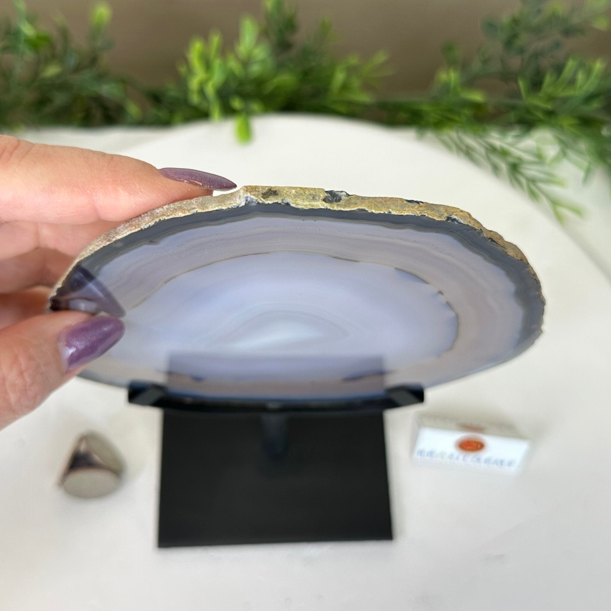 Natural Brazilian Agate Slice on Metal Stand, 9.25" Tall #5067NA - 027 - Brazil GemsBrazil GemsNatural Brazilian Agate Slice on Metal Stand, 9.25" Tall #5067NA - 027Slices on Fixed Bases5067NA - 027