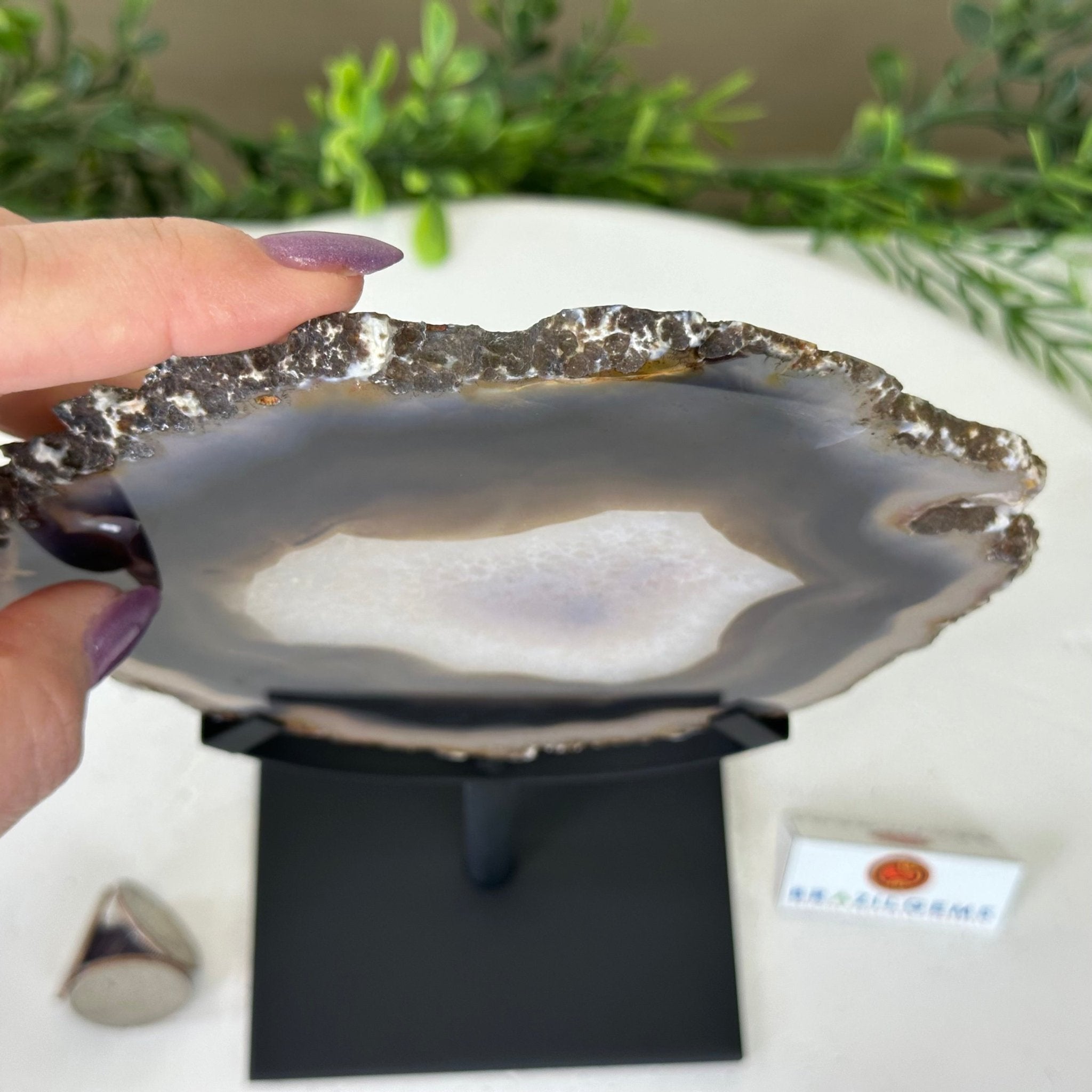 Natural Brazilian Agate Slice on Metal Stand, 9.25" Tall #5067NA - 034 - Brazil GemsBrazil GemsNatural Brazilian Agate Slice on Metal Stand, 9.25" Tall #5067NA - 034Slices on Fixed Bases5067NA - 034