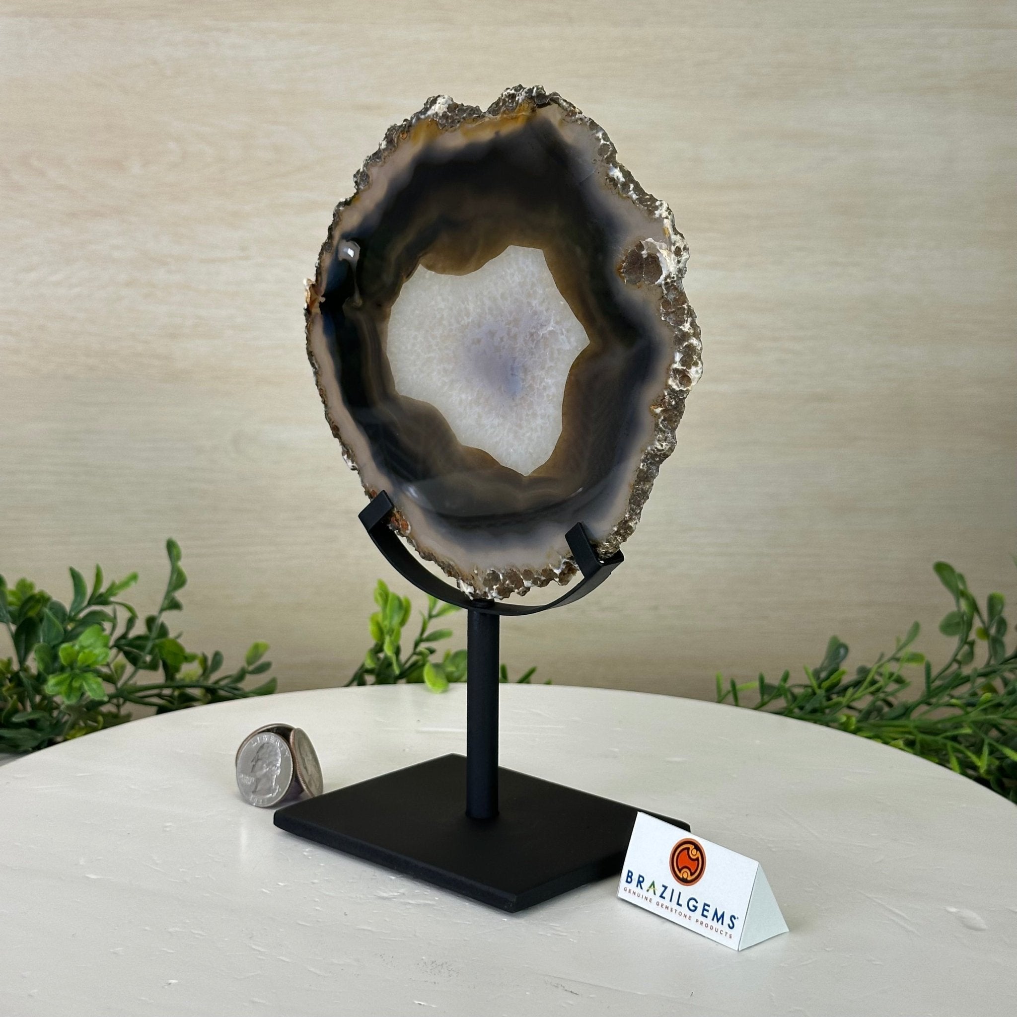 Natural Brazilian Agate Slice on Metal Stand, 9.25" Tall #5067NA - 034 - Brazil GemsBrazil GemsNatural Brazilian Agate Slice on Metal Stand, 9.25" Tall #5067NA - 034Slices on Fixed Bases5067NA - 034