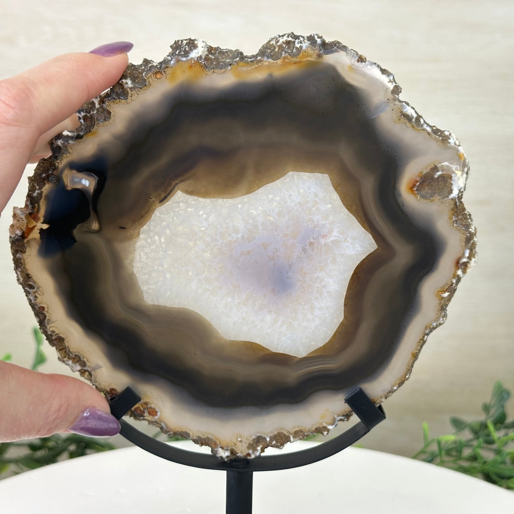 Natural Brazilian Agate Slice on Metal Stand, 9.25" Tall #5067NA - 034 - Brazil GemsBrazil GemsNatural Brazilian Agate Slice on Metal Stand, 9.25" Tall #5067NA - 034Slices on Fixed Bases5067NA - 034