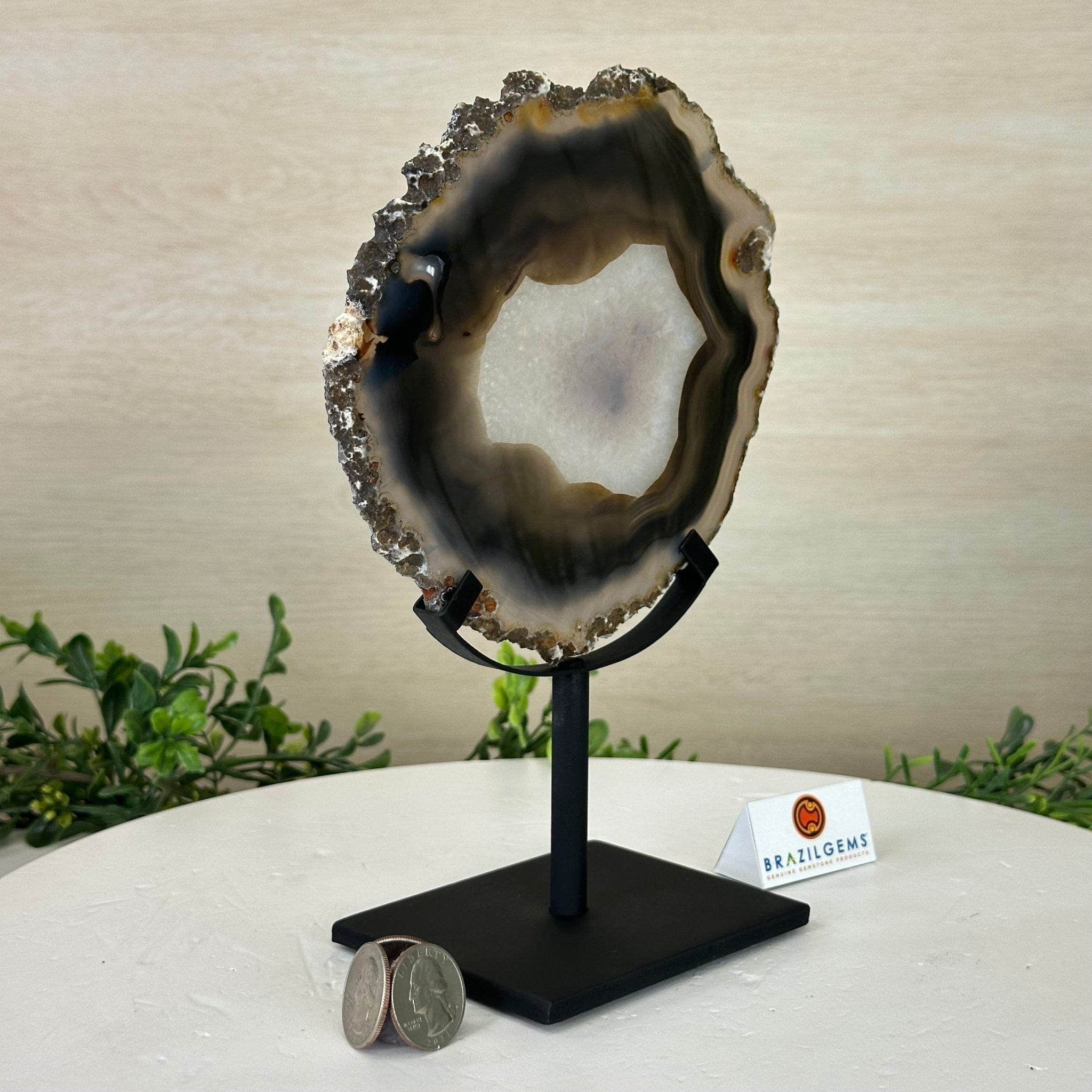 Natural Brazilian Agate Slice on Metal Stand, 9.25" Tall #5067NA - 034 - Brazil GemsBrazil GemsNatural Brazilian Agate Slice on Metal Stand, 9.25" Tall #5067NA - 034Slices on Fixed Bases5067NA - 034