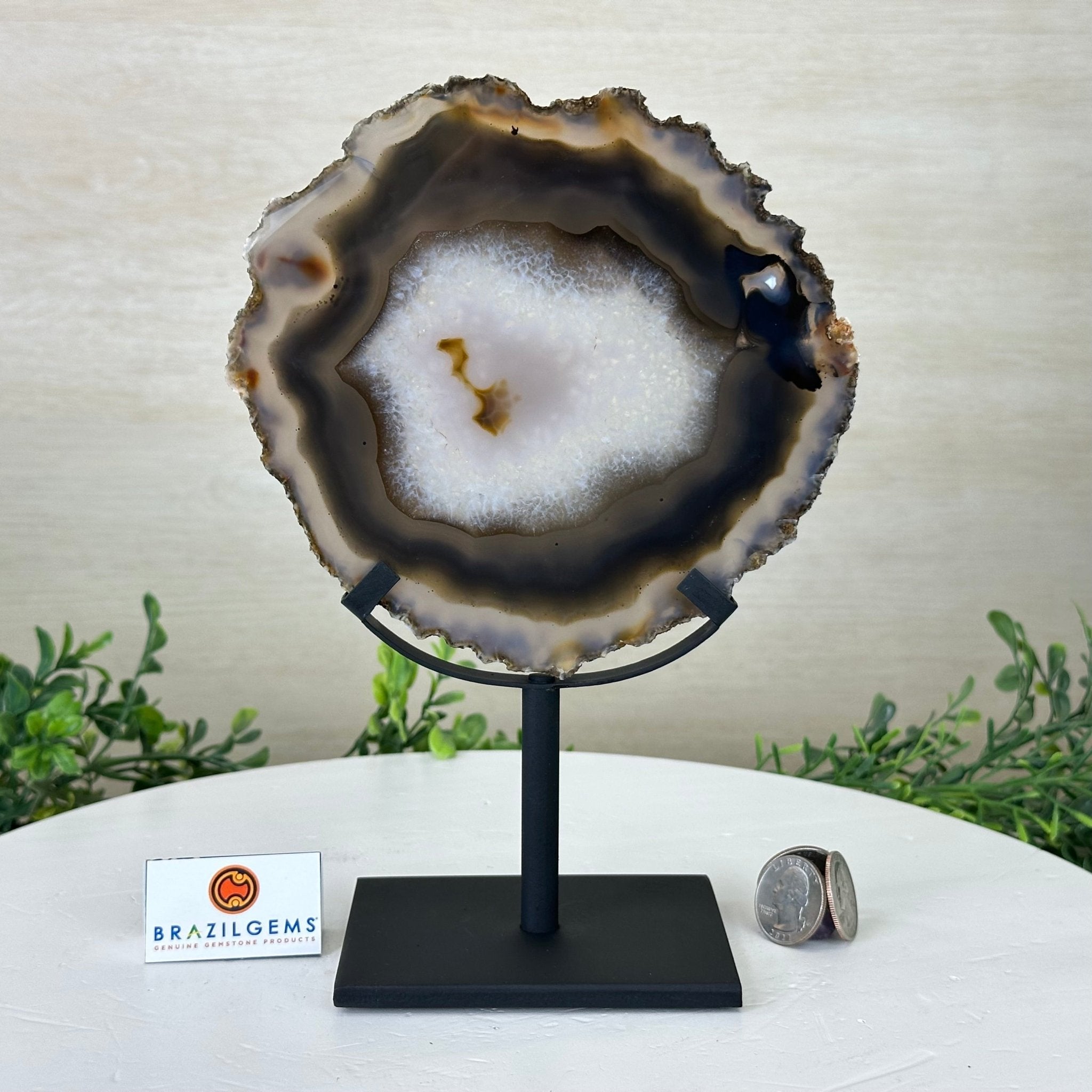 Natural Brazilian Agate Slice on Metal Stand, 9.25" Tall #5067NA - 034 - Brazil GemsBrazil GemsNatural Brazilian Agate Slice on Metal Stand, 9.25" Tall #5067NA - 034Slices on Fixed Bases5067NA - 034