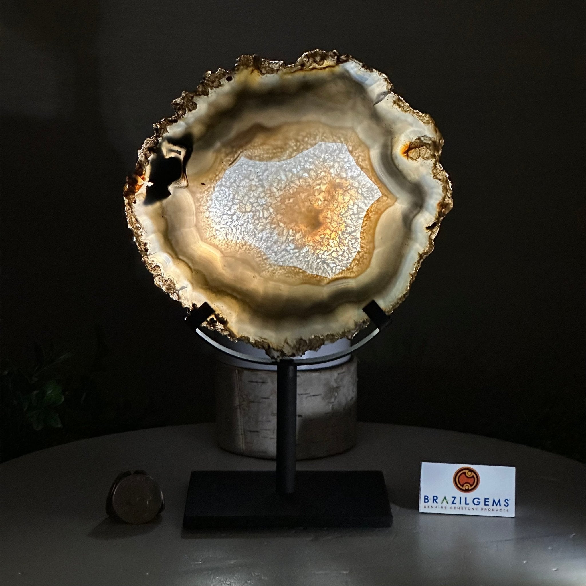 Natural Brazilian Agate Slice on Metal Stand, 9.25" Tall #5067NA - 034 - Brazil GemsBrazil GemsNatural Brazilian Agate Slice on Metal Stand, 9.25" Tall #5067NA - 034Slices on Fixed Bases5067NA - 034