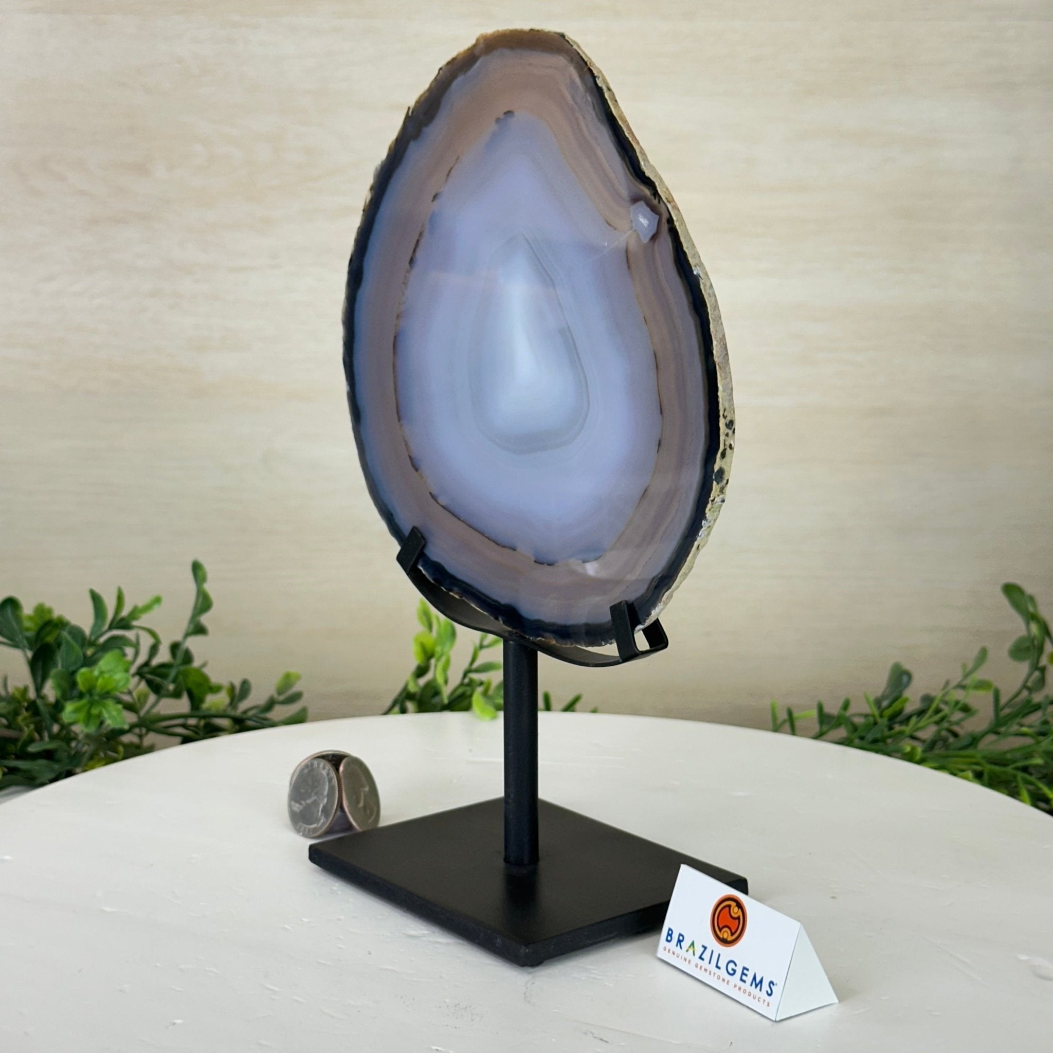 Natural Brazilian Agate Slice on Metal Stand, 9.3" Tall #5067NA - 043 - Brazil GemsBrazil GemsNatural Brazilian Agate Slice on Metal Stand, 9.3" Tall #5067NA - 043Slices on Fixed Bases5067NA - 043