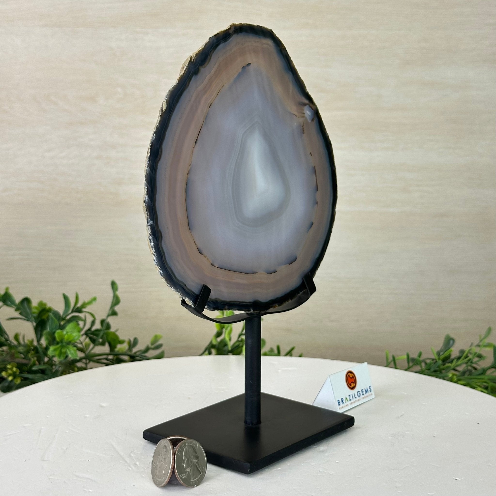 Natural Brazilian Agate Slice on Metal Stand, 9.3" Tall #5067NA - 043 - Brazil GemsBrazil GemsNatural Brazilian Agate Slice on Metal Stand, 9.3" Tall #5067NA - 043Slices on Fixed Bases5067NA - 043