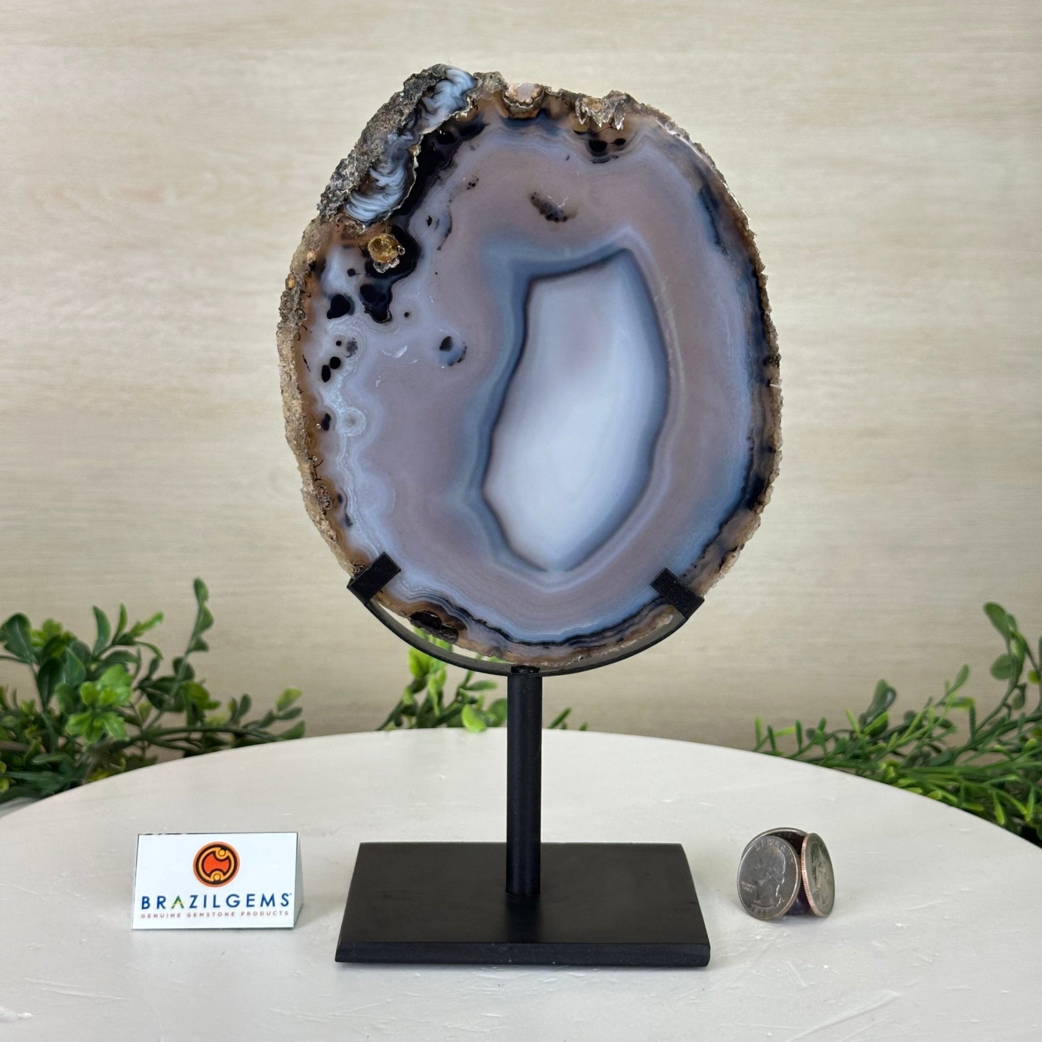 Natural Brazilian Agate Slice on Metal Stand, 9.4" Tall #5067NA - 041 - Brazil GemsBrazil GemsNatural Brazilian Agate Slice on Metal Stand, 9.4" Tall #5067NA - 041Slices on Fixed Bases5067NA - 041