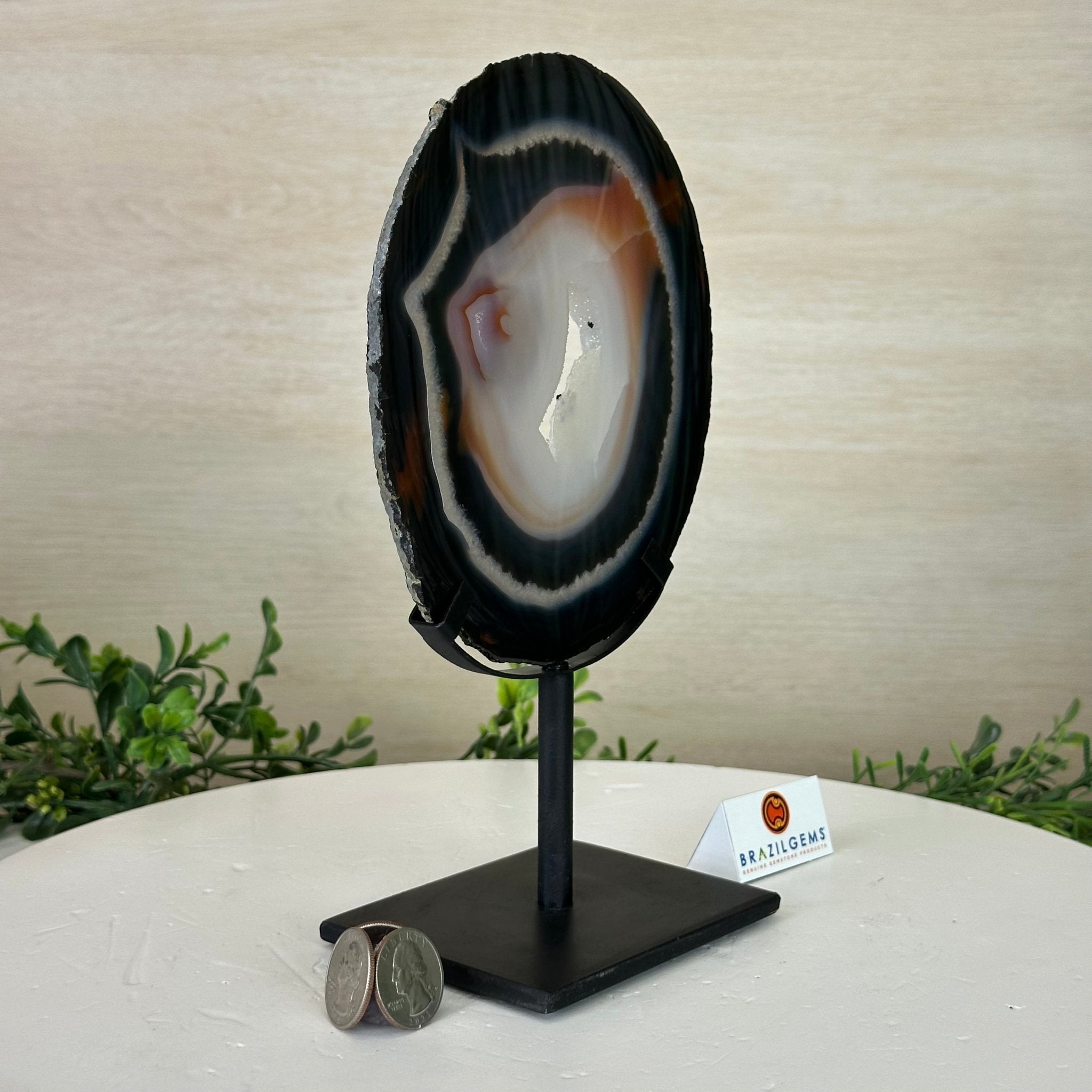 Natural Brazilian Agate Slice on Metal Stand, 9.4" Tall #5067NA - 042 - Brazil GemsBrazil GemsNatural Brazilian Agate Slice on Metal Stand, 9.4" Tall #5067NA - 042Slices on Fixed Bases5067NA - 042