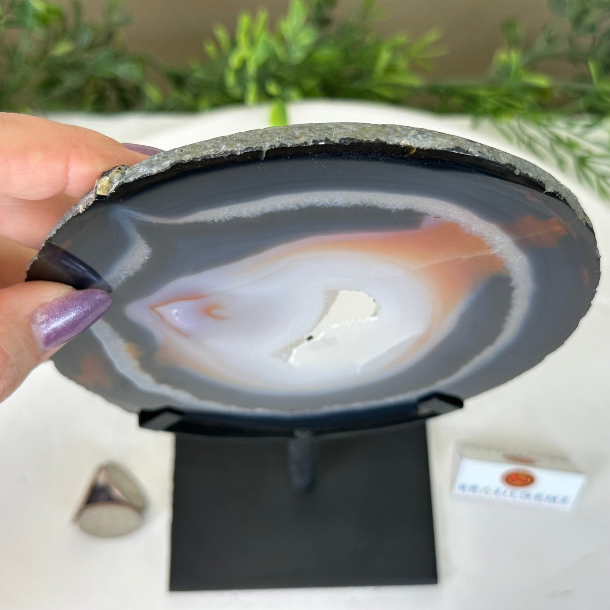 Natural Brazilian Agate Slice on Metal Stand, 9.4" Tall #5067NA - 042 - Brazil GemsBrazil GemsNatural Brazilian Agate Slice on Metal Stand, 9.4" Tall #5067NA - 042Slices on Fixed Bases5067NA - 042