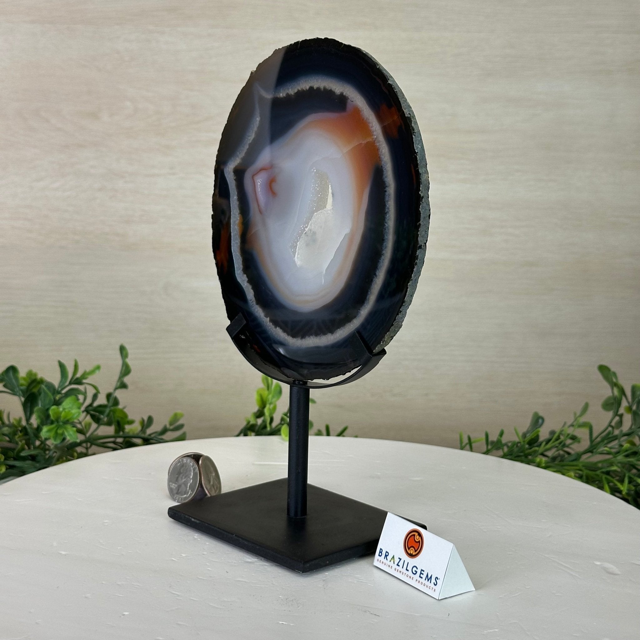 Natural Brazilian Agate Slice on Metal Stand, 9.4" Tall #5067NA - 042 - Brazil GemsBrazil GemsNatural Brazilian Agate Slice on Metal Stand, 9.4" Tall #5067NA - 042Slices on Fixed Bases5067NA - 042