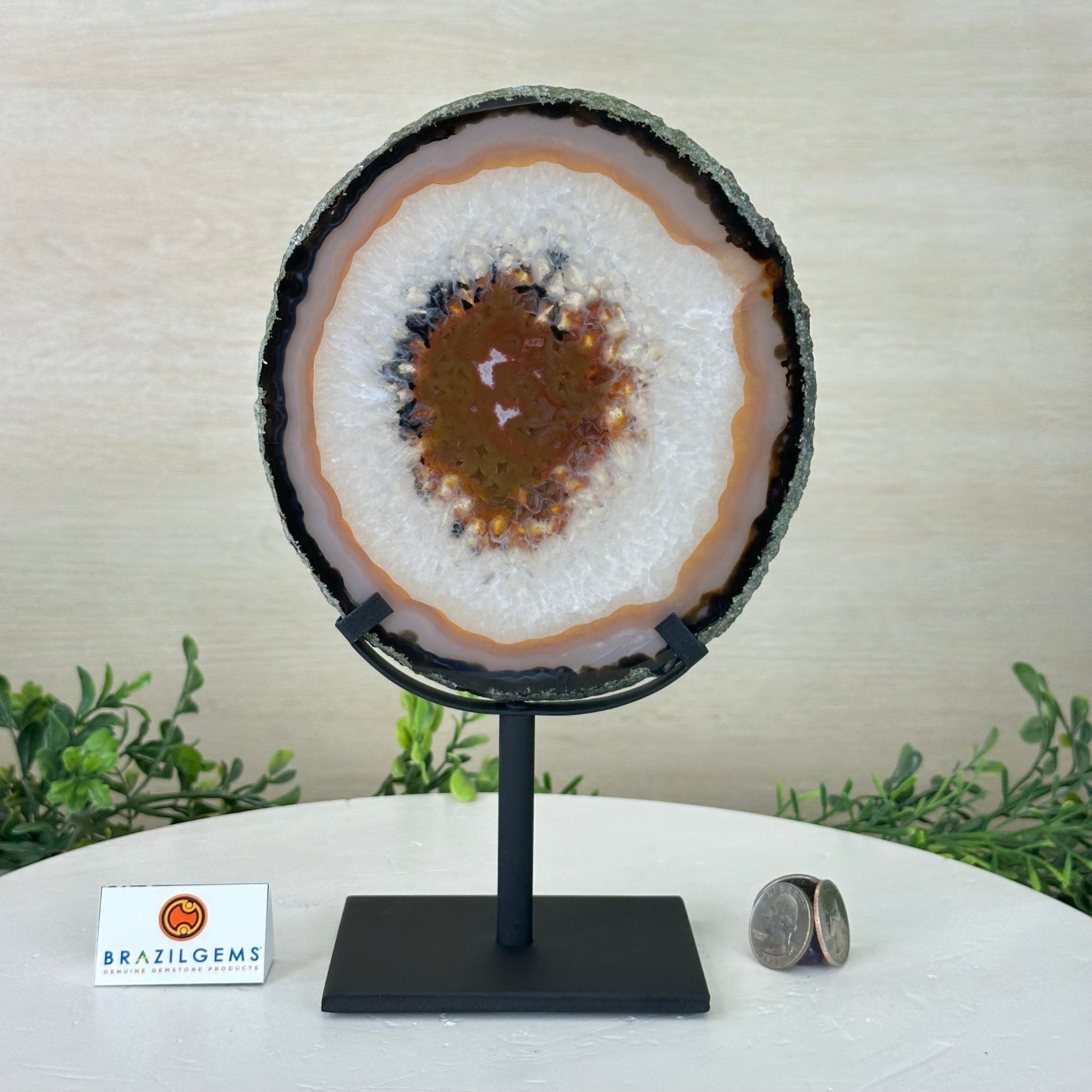 Natural Brazilian Agate Slice on Metal Stand, 9.5" Tall #5067NA - 033 - Brazil GemsBrazil GemsNatural Brazilian Agate Slice on Metal Stand, 9.5" Tall #5067NA - 033Slices on Fixed Bases5067NA - 033