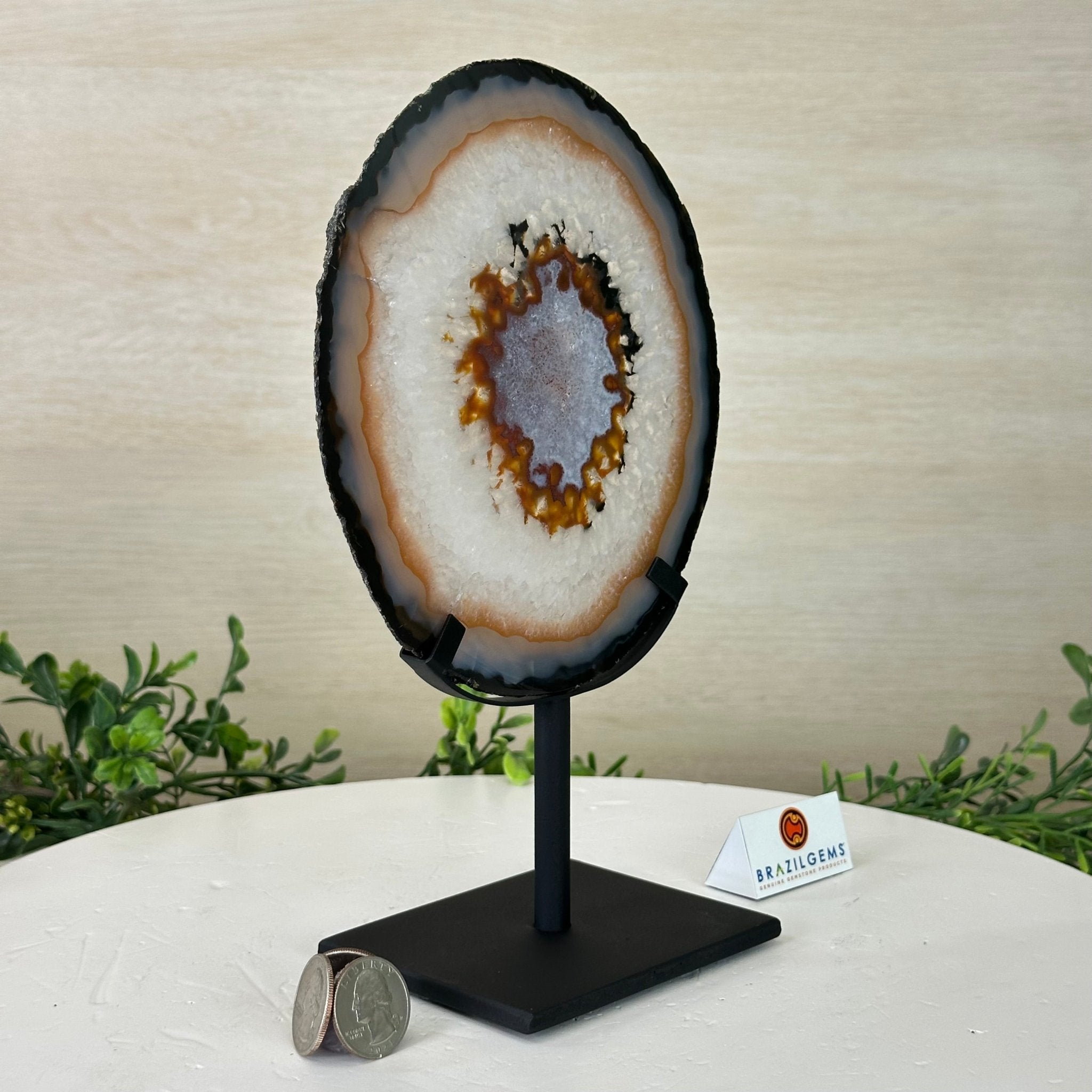 Natural Brazilian Agate Slice on Metal Stand, 9.5" Tall #5067NA - 033 - Brazil GemsBrazil GemsNatural Brazilian Agate Slice on Metal Stand, 9.5" Tall #5067NA - 033Slices on Fixed Bases5067NA - 033