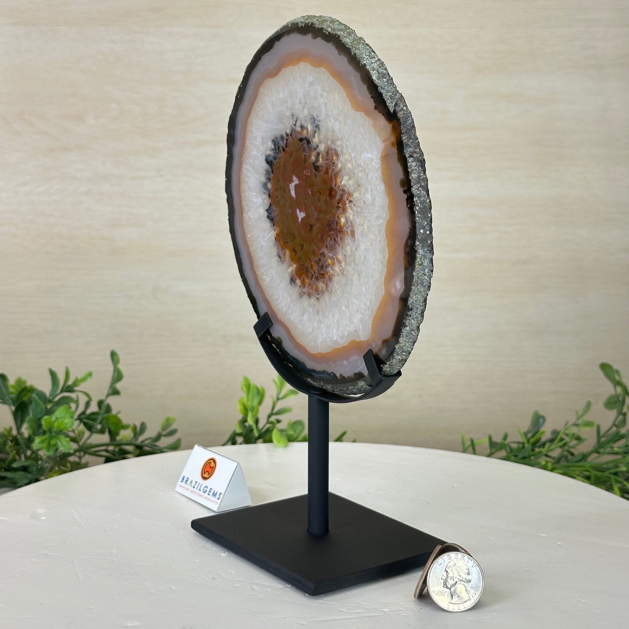 Natural Brazilian Agate Slice on Metal Stand, 9.5" Tall #5067NA - 033 - Brazil GemsBrazil GemsNatural Brazilian Agate Slice on Metal Stand, 9.5" Tall #5067NA - 033Slices on Fixed Bases5067NA - 033