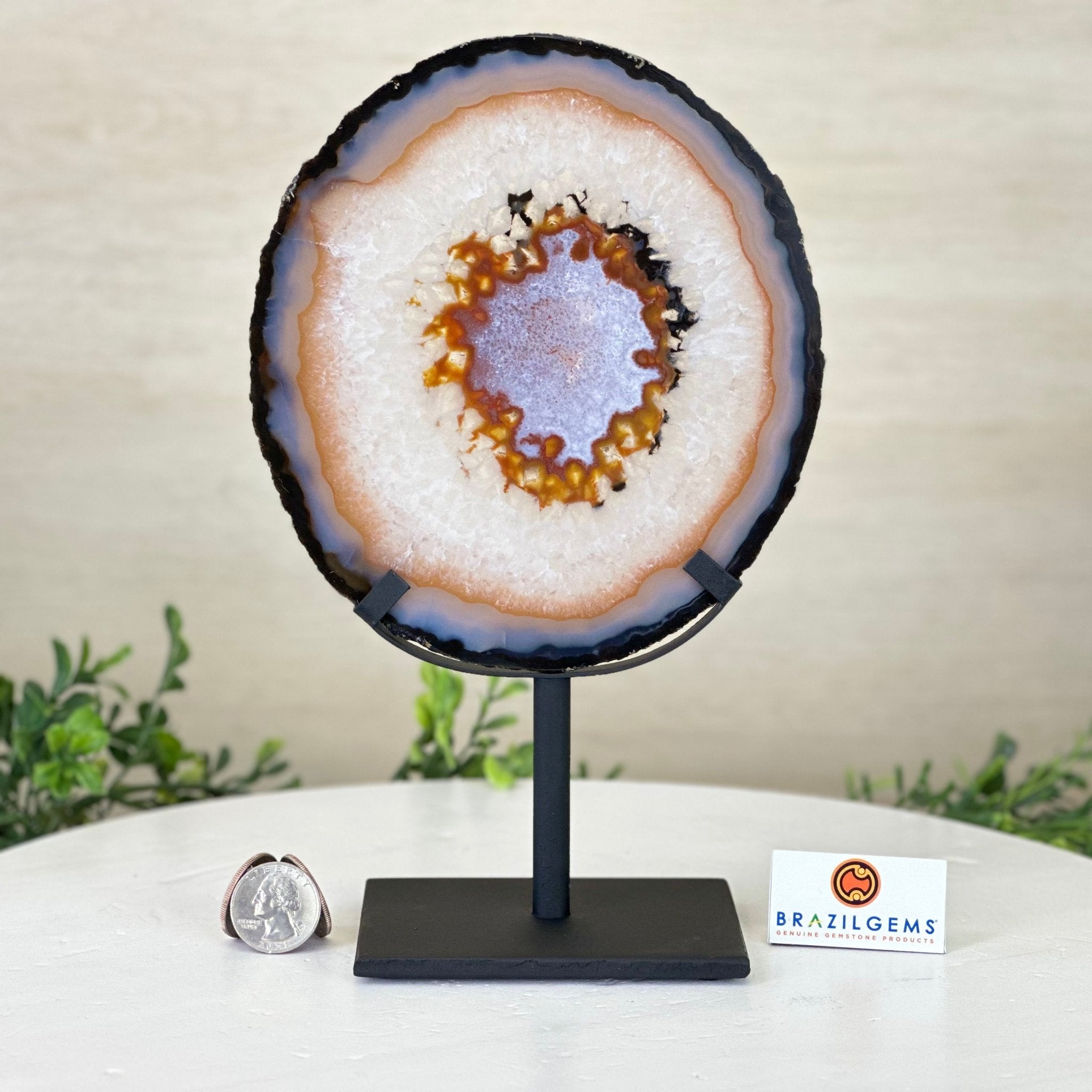 Natural Brazilian Agate Slice on Metal Stand, 9.5" Tall #5067NA - 033 - Brazil GemsBrazil GemsNatural Brazilian Agate Slice on Metal Stand, 9.5" Tall #5067NA - 033Slices on Fixed Bases5067NA - 033