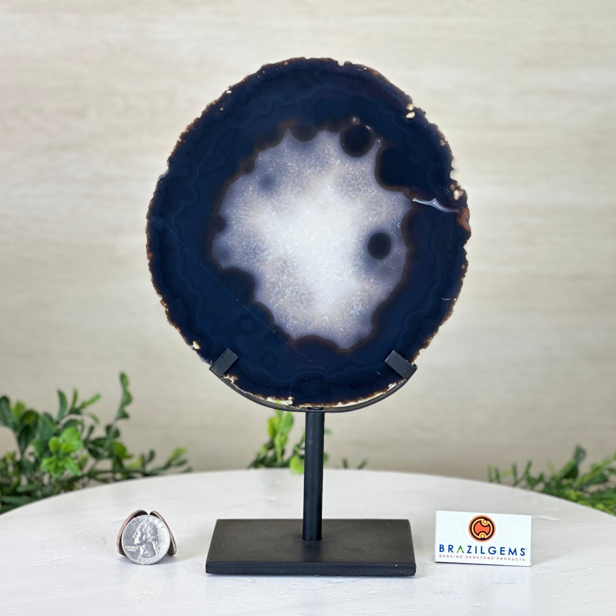 Natural Brazilian Agate Slice on Metal Stand, 9.7" Tall #5067NA - 044 - Brazil GemsBrazil GemsNatural Brazilian Agate Slice on Metal Stand, 9.7" Tall #5067NA - 044Slices on Fixed Bases5067NA - 044