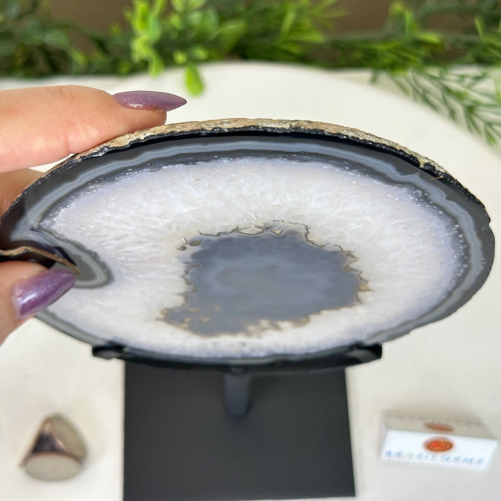 Natural Brazilian Agate Slice on Metal Stand, 9.75" Tall #5067NA - 032 - Brazil GemsBrazil GemsNatural Brazilian Agate Slice on Metal Stand, 9.75" Tall #5067NA - 032Slices on Fixed Bases5067NA - 032