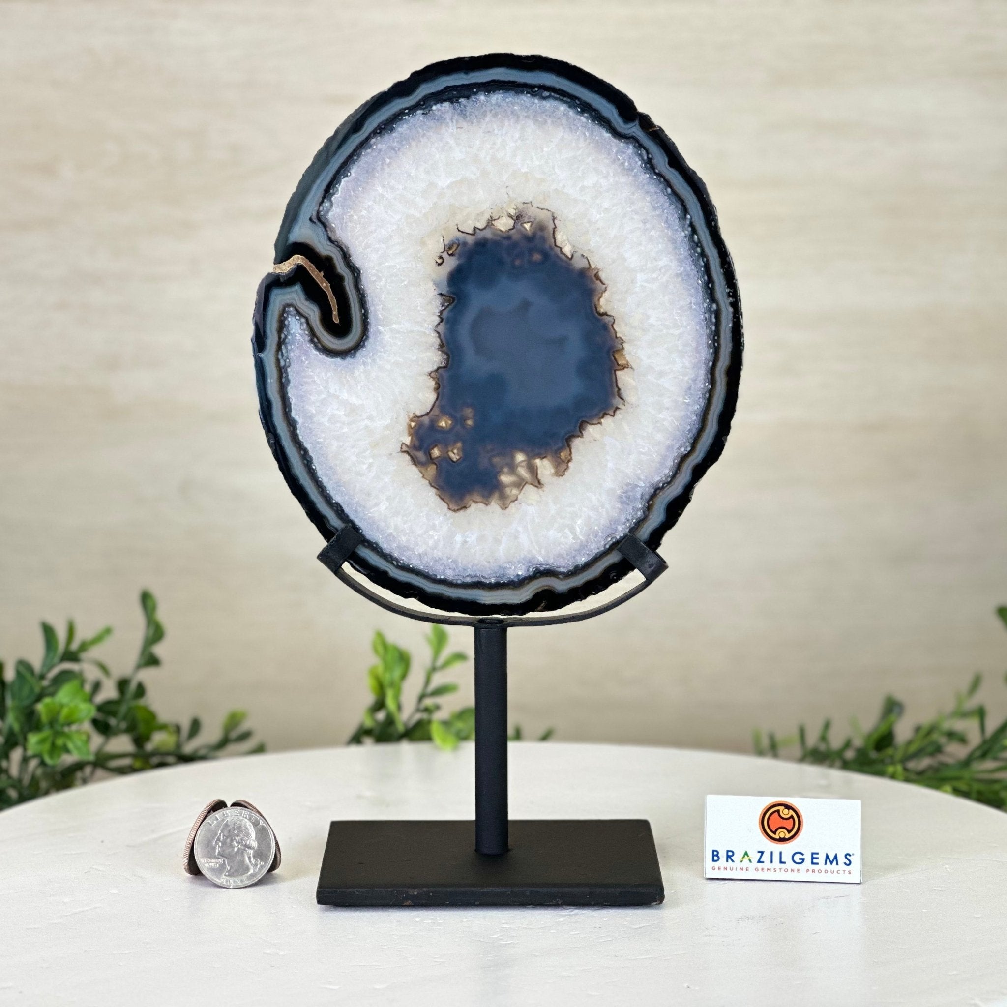 Natural Brazilian Agate Slice on Metal Stand, 9.75" Tall #5067NA - 032 - Brazil GemsBrazil GemsNatural Brazilian Agate Slice on Metal Stand, 9.75" Tall #5067NA - 032Slices on Fixed Bases5067NA - 032