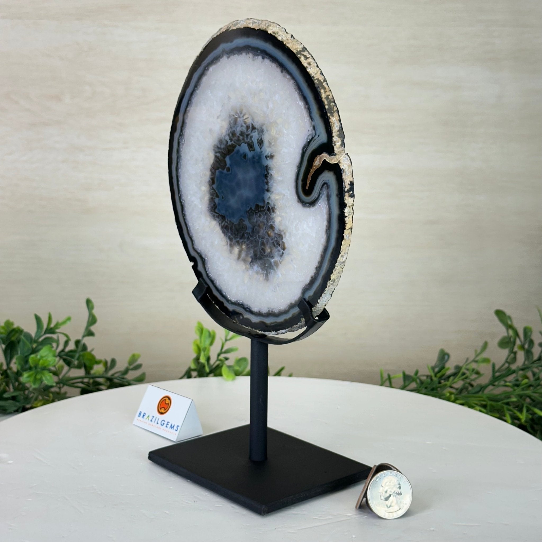 Natural Brazilian Agate Slice on Metal Stand, 9.75" Tall #5067NA - 032 - Brazil GemsBrazil GemsNatural Brazilian Agate Slice on Metal Stand, 9.75" Tall #5067NA - 032Slices on Fixed Bases5067NA - 032