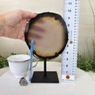 Natural Brazilian Agate Slice on Metal Stand, 9.8" Tall #5067NA - 036 - Brazil GemsBrazil GemsNatural Brazilian Agate Slice on Metal Stand, 9.8" Tall #5067NA - 036Slices on Fixed Bases5067NA - 036