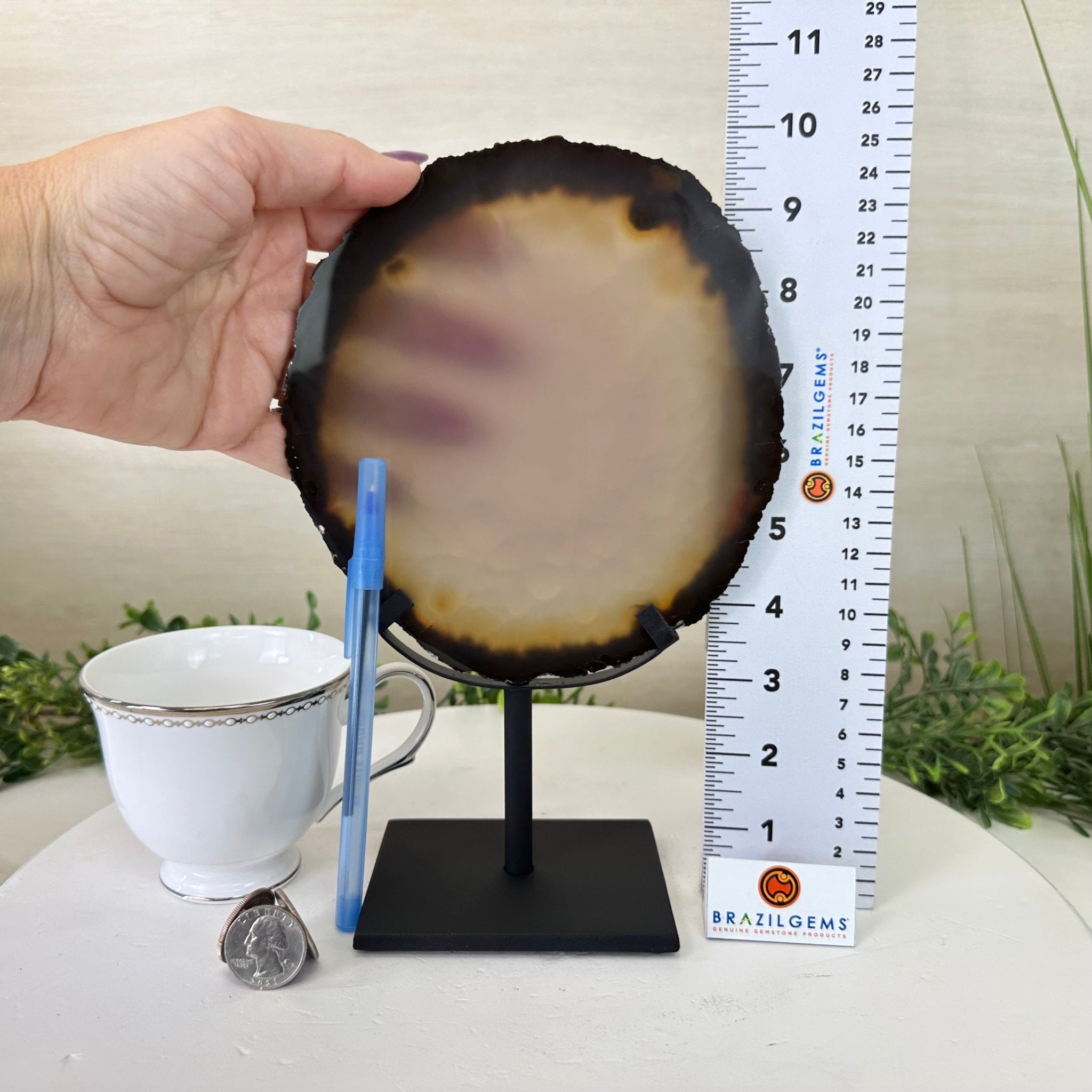 Natural Brazilian Agate Slice on Metal Stand, 9.8" Tall #5067NA - 036 - Brazil GemsBrazil GemsNatural Brazilian Agate Slice on Metal Stand, 9.8" Tall #5067NA - 036Slices on Fixed Bases5067NA - 036