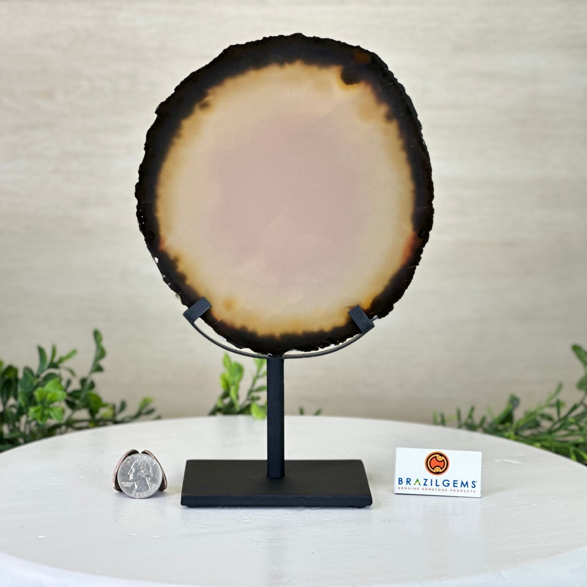 Natural Brazilian Agate Slice on Metal Stand, 9.8" Tall #5067NA - 036 - Brazil GemsBrazil GemsNatural Brazilian Agate Slice on Metal Stand, 9.8" Tall #5067NA - 036Slices on Fixed Bases5067NA - 036