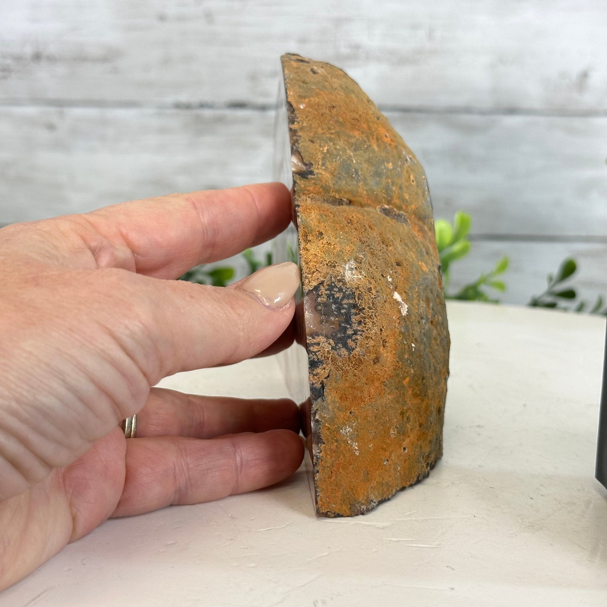 Natural Brazilian Agate Stone Bookends, 3.1 lbs & 4.6" Tall #5151NA - 046 - Brazil GemsBrazil GemsNatural Brazilian Agate Stone Bookends, 3.1 lbs & 4.6" Tall #5151NA - 046Bookends5151NA - 046
